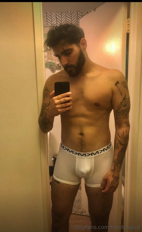 Arab Youtuber Rudy Ayoub Habibispice Onlyfans Leaked Gaysdream Gay