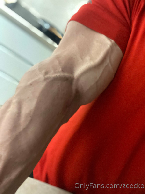 237 Massive bodybuilder Pavel Červinka zeecko onlyfans porn