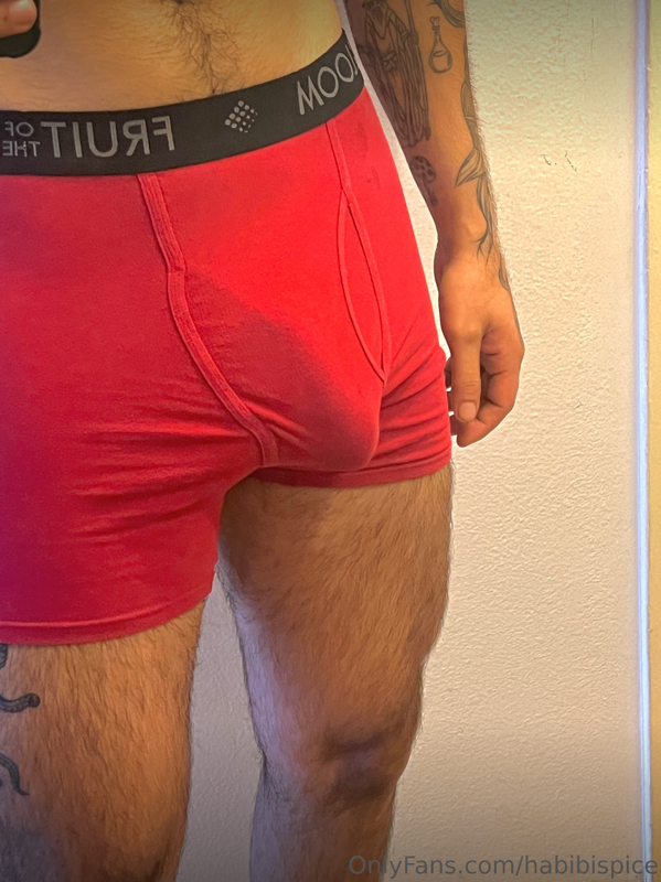 15 Arab Youtuber Rudy Ayoub habibispice OnlyFans LEAKED
