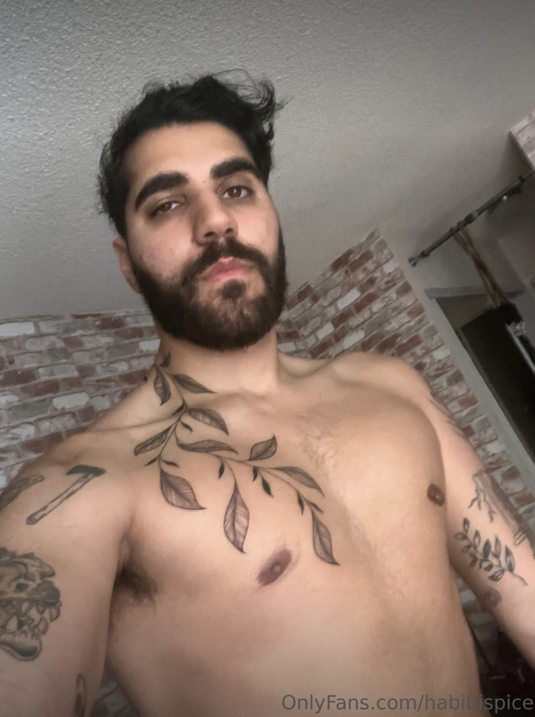 29 Arab Youtuber Rudy Ayoub habibispice OnlyFans LEAKED