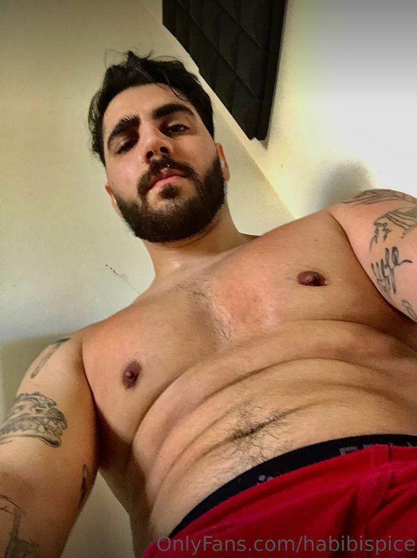 72 Arab Youtuber Rudy Ayoub habibispice OnlyFans LEAKED