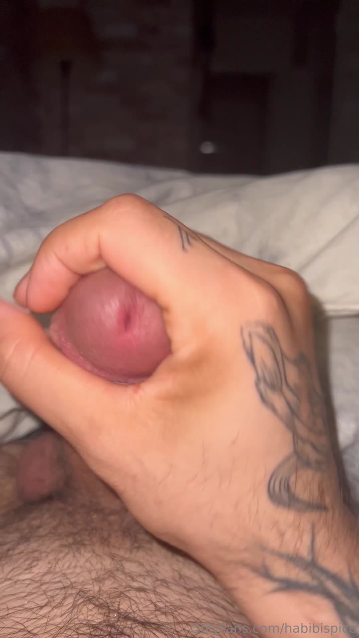115 Arab Youtuber Rudy Ayoub habibispice OnlyFans LEAKED