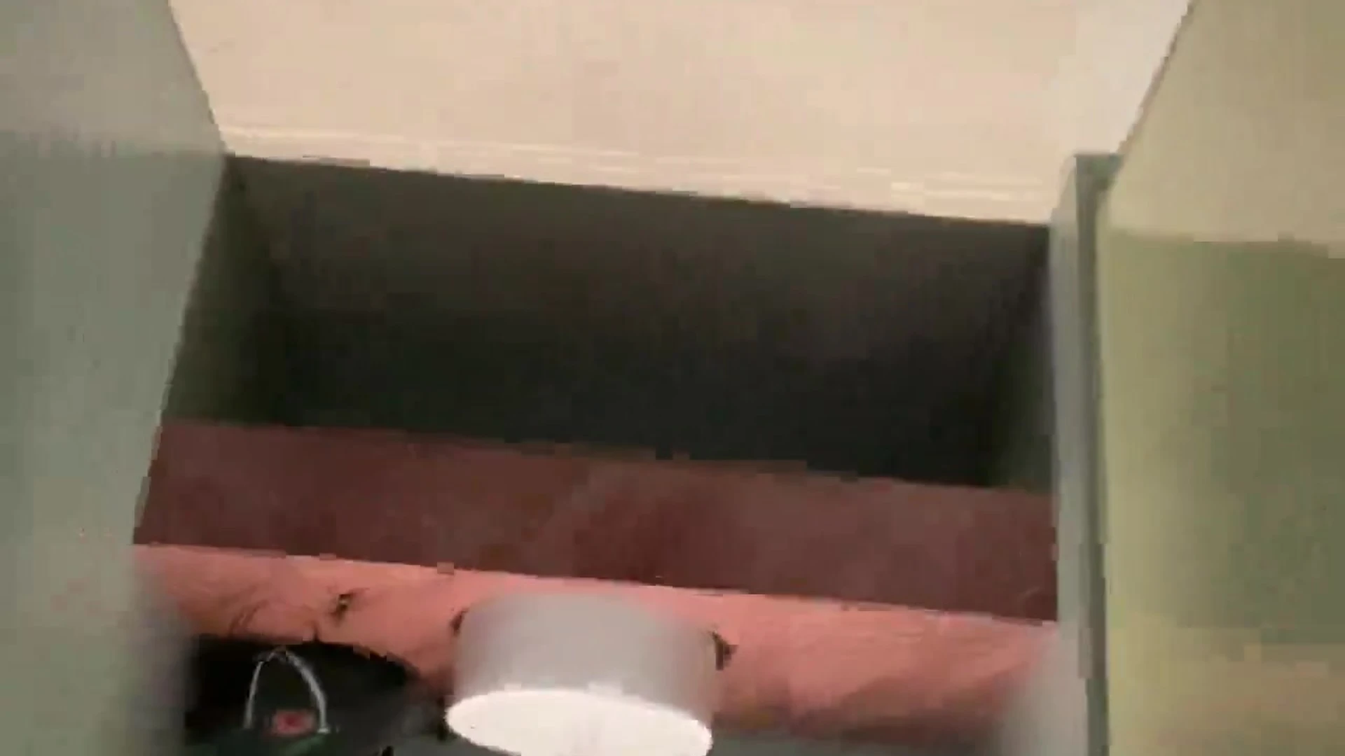 Austin Wolf and Felix Fox in a bathroom