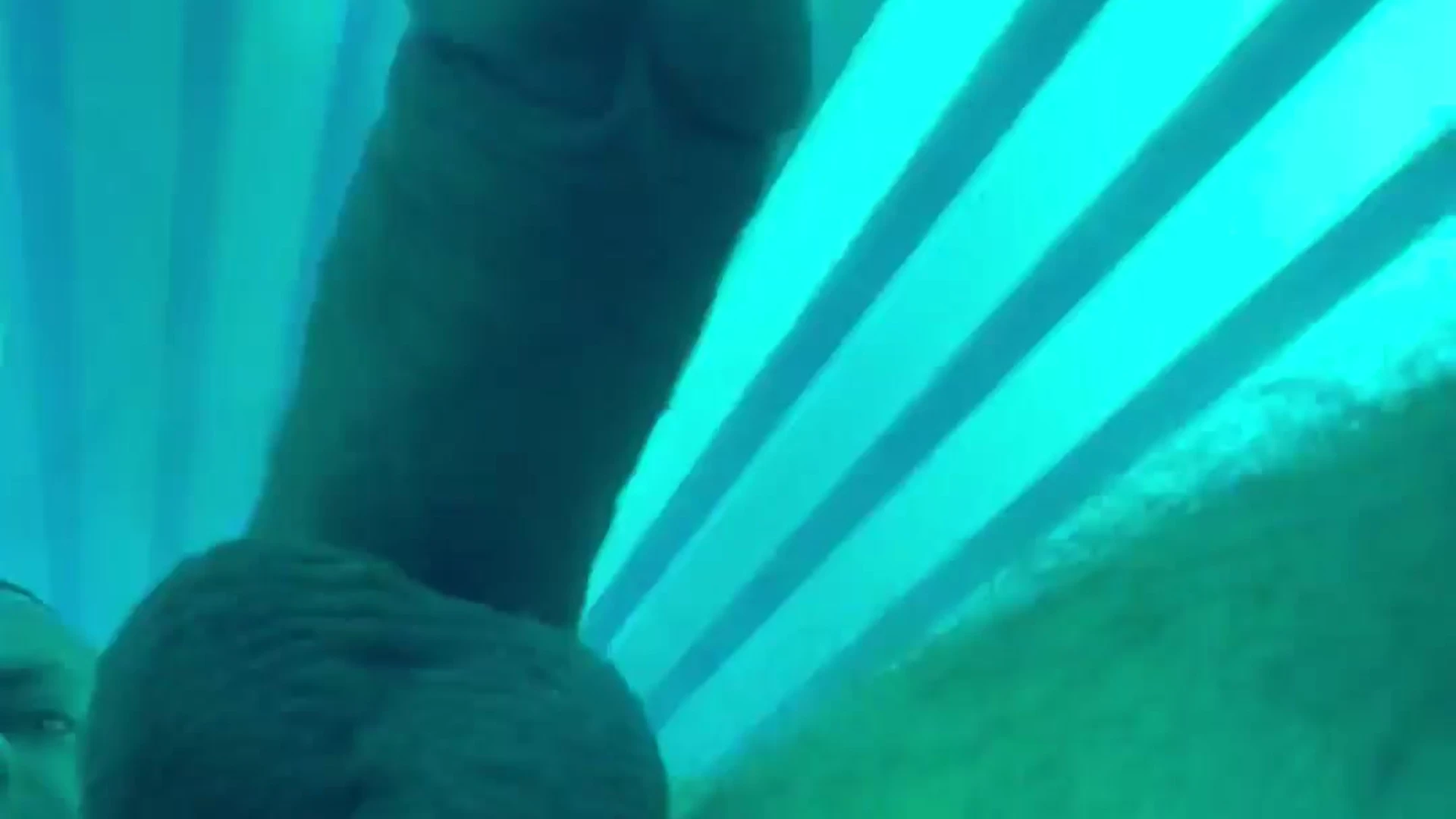 pecs ArchiPan porn full vid