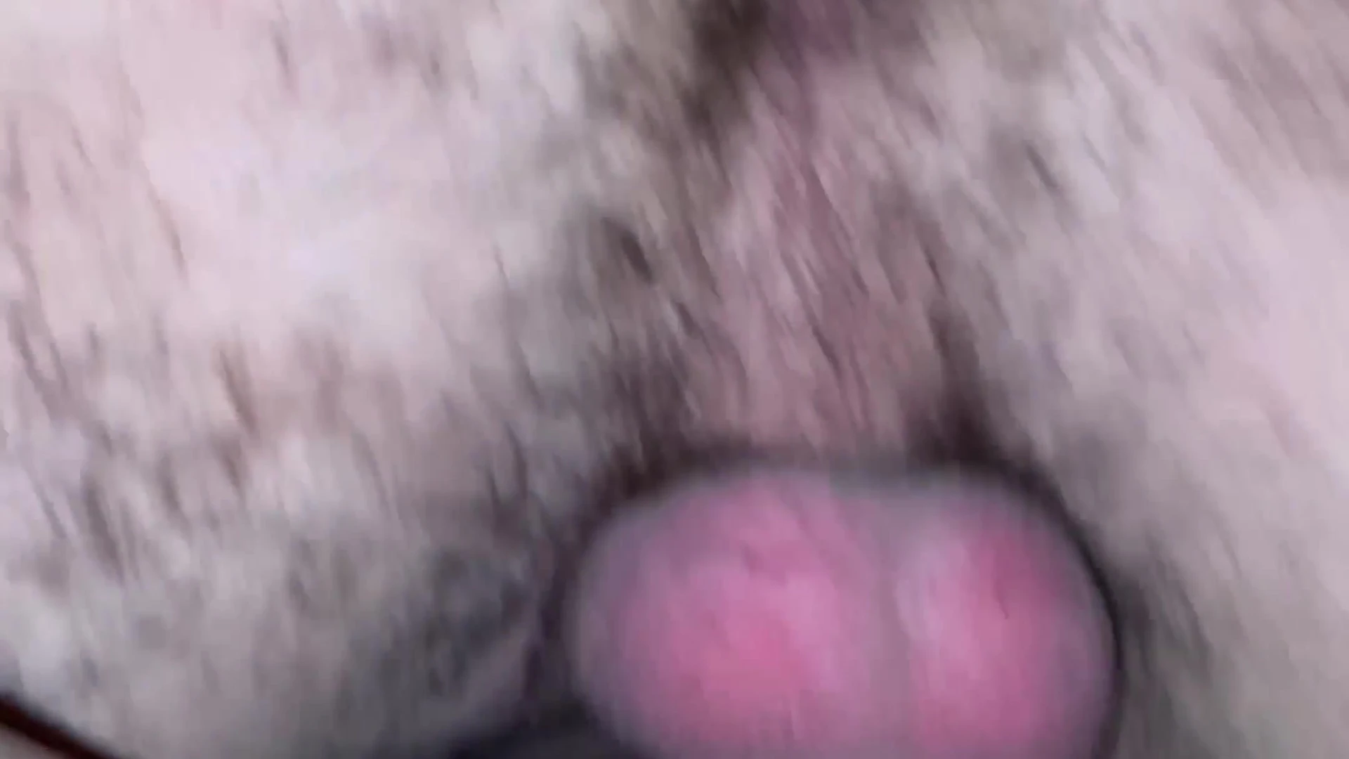 sexy abs Artur_kratko onlyfans wife fuck  Vid Epic