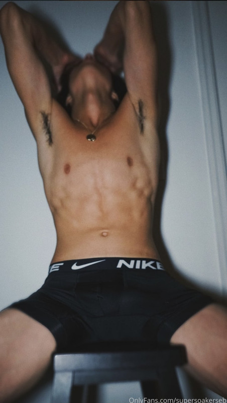 Dazzling  breed North Star Boys Sebastian Moy jock