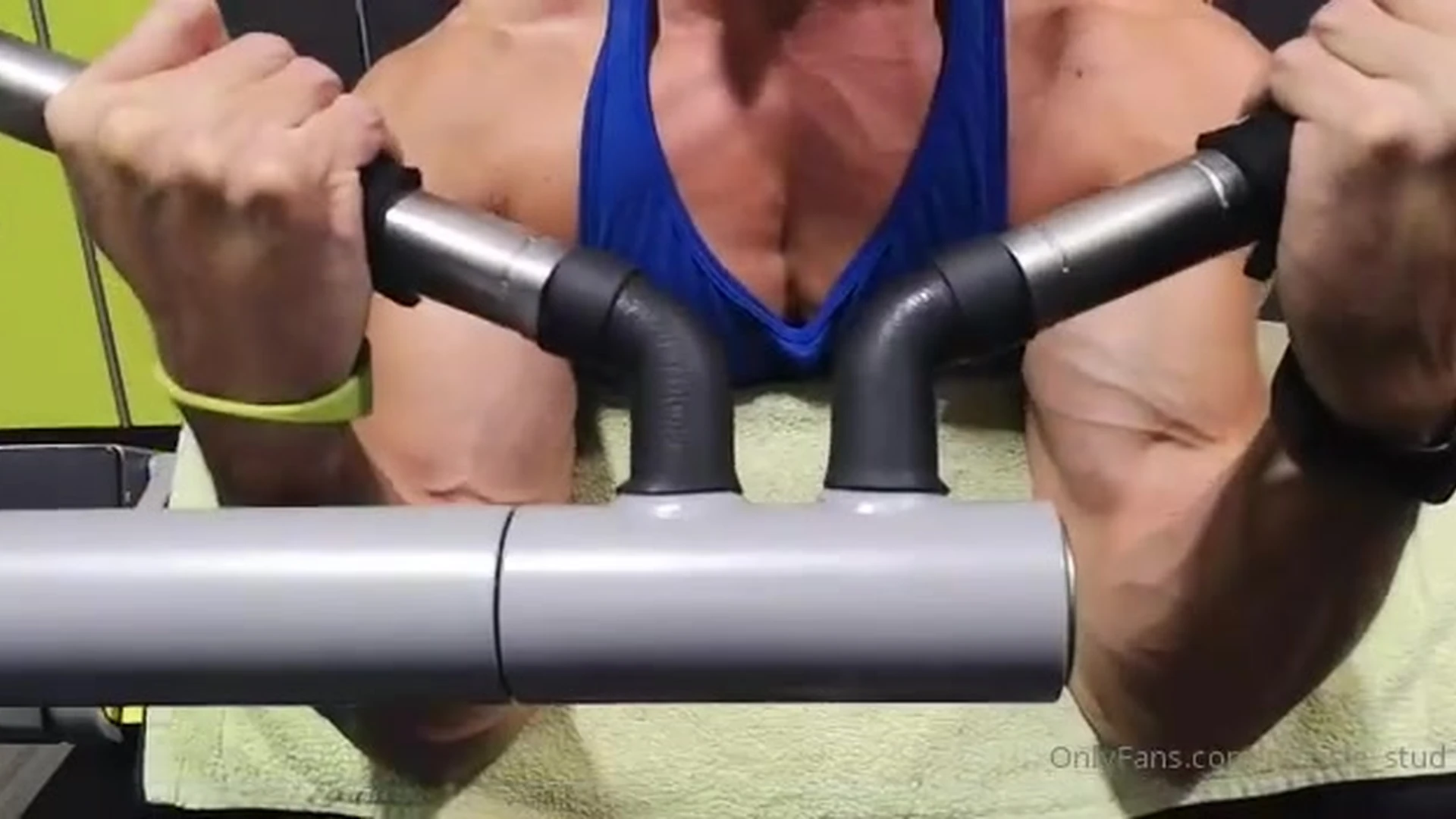 Cockheadstud 19