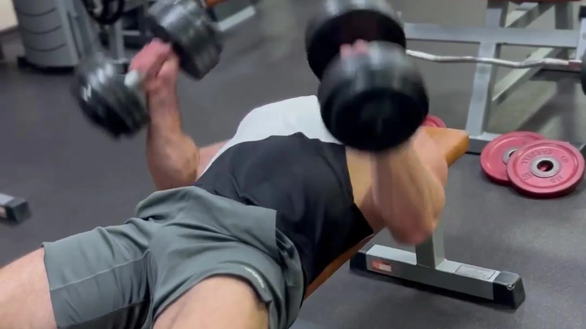 hoe pecs ArchiPan muscle