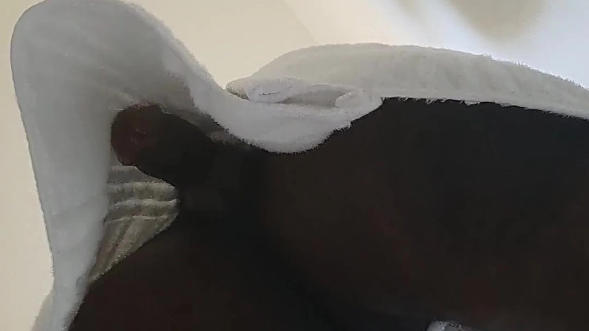black bull Marshall Price sex tape