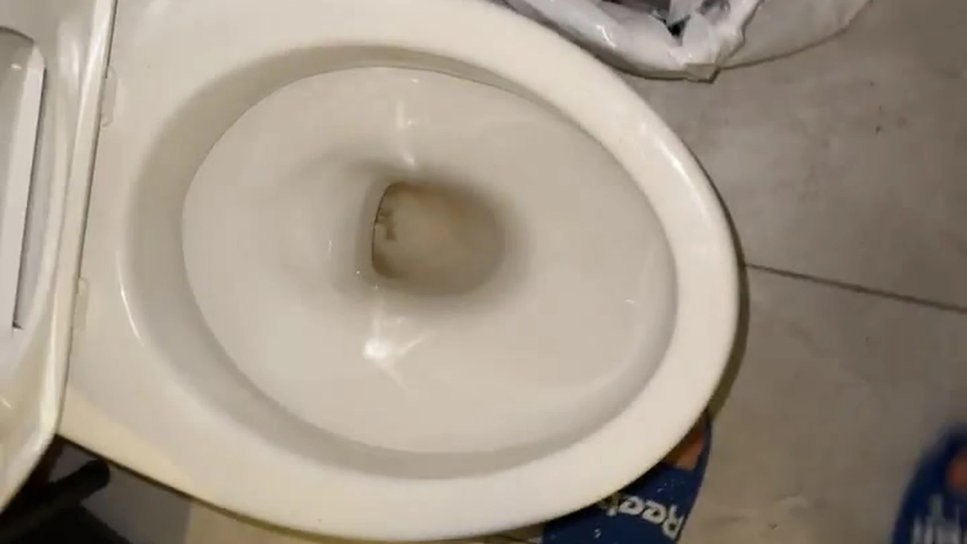 gattouzo Gattouz0 ass