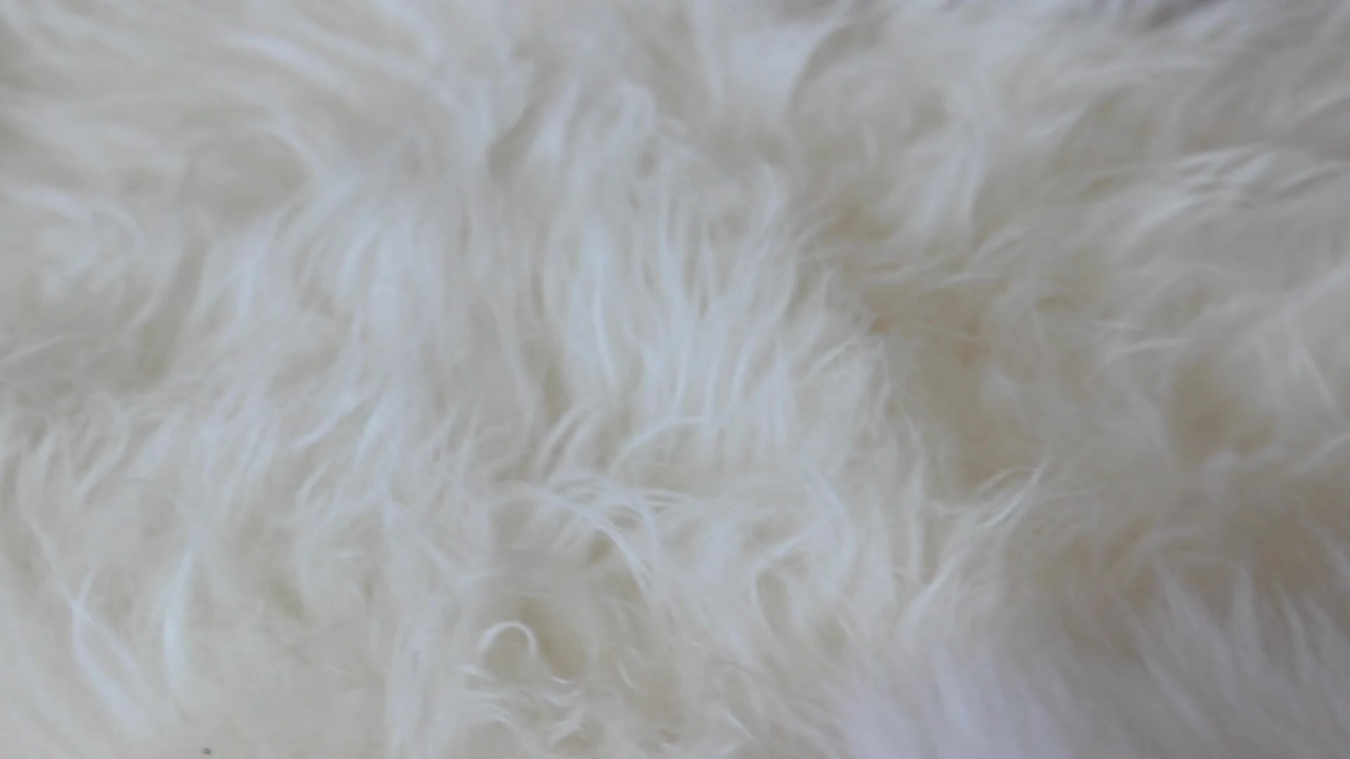 Sensational Amicable passivo evanpeix leaked nudes x Exclusive full video