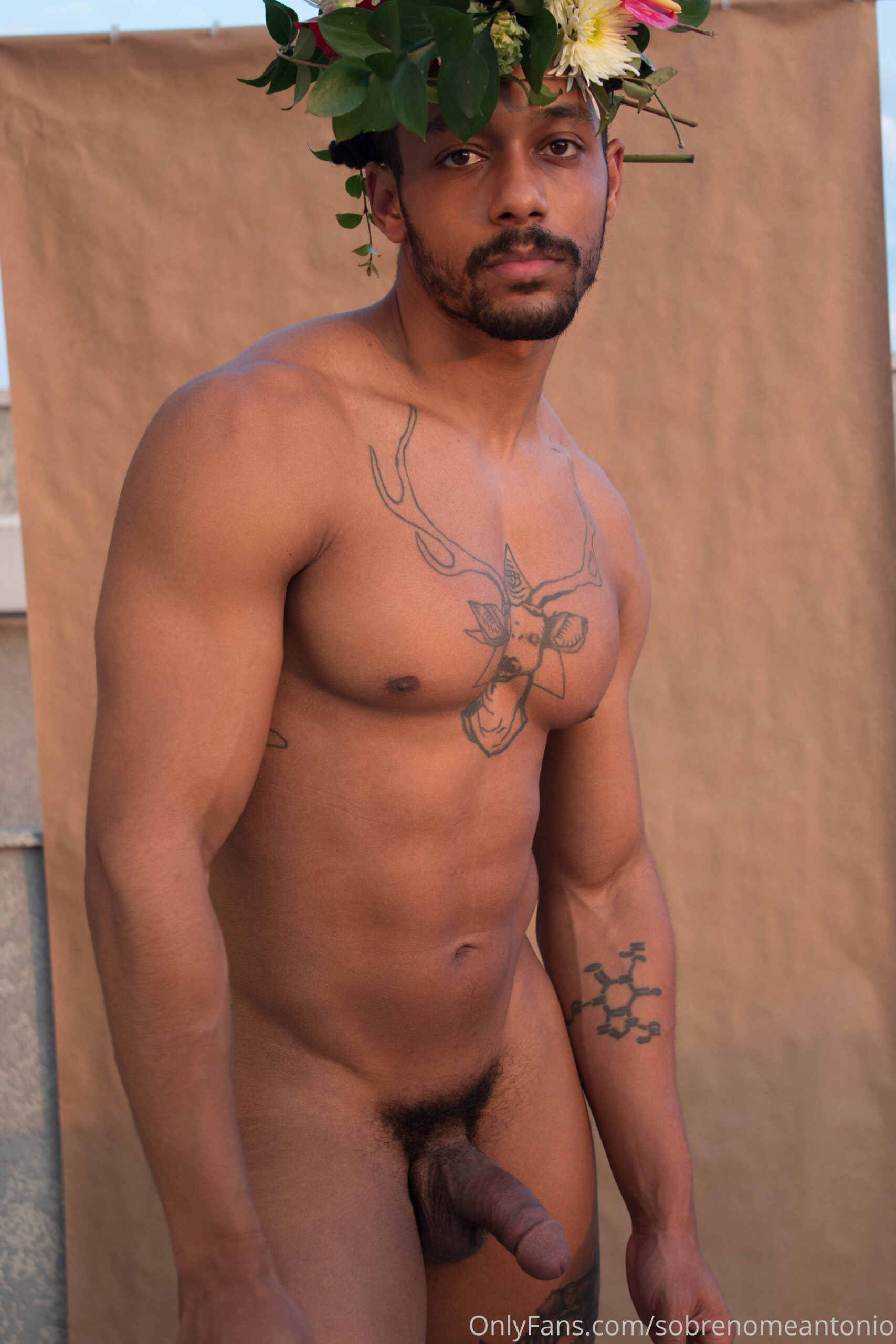 bitch boy BBC sobrenomeantonio sextape