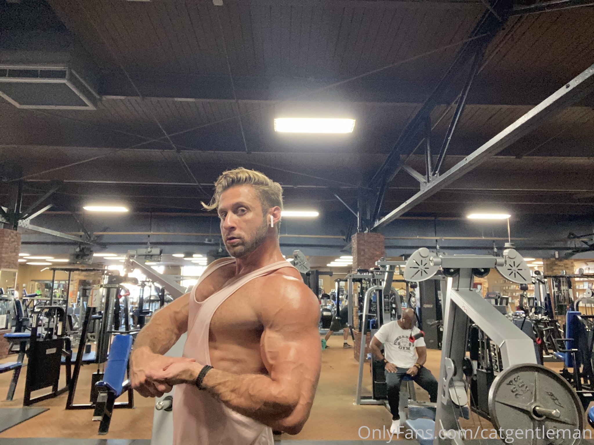 Magnetic  breed catgentleman Dom King pecs