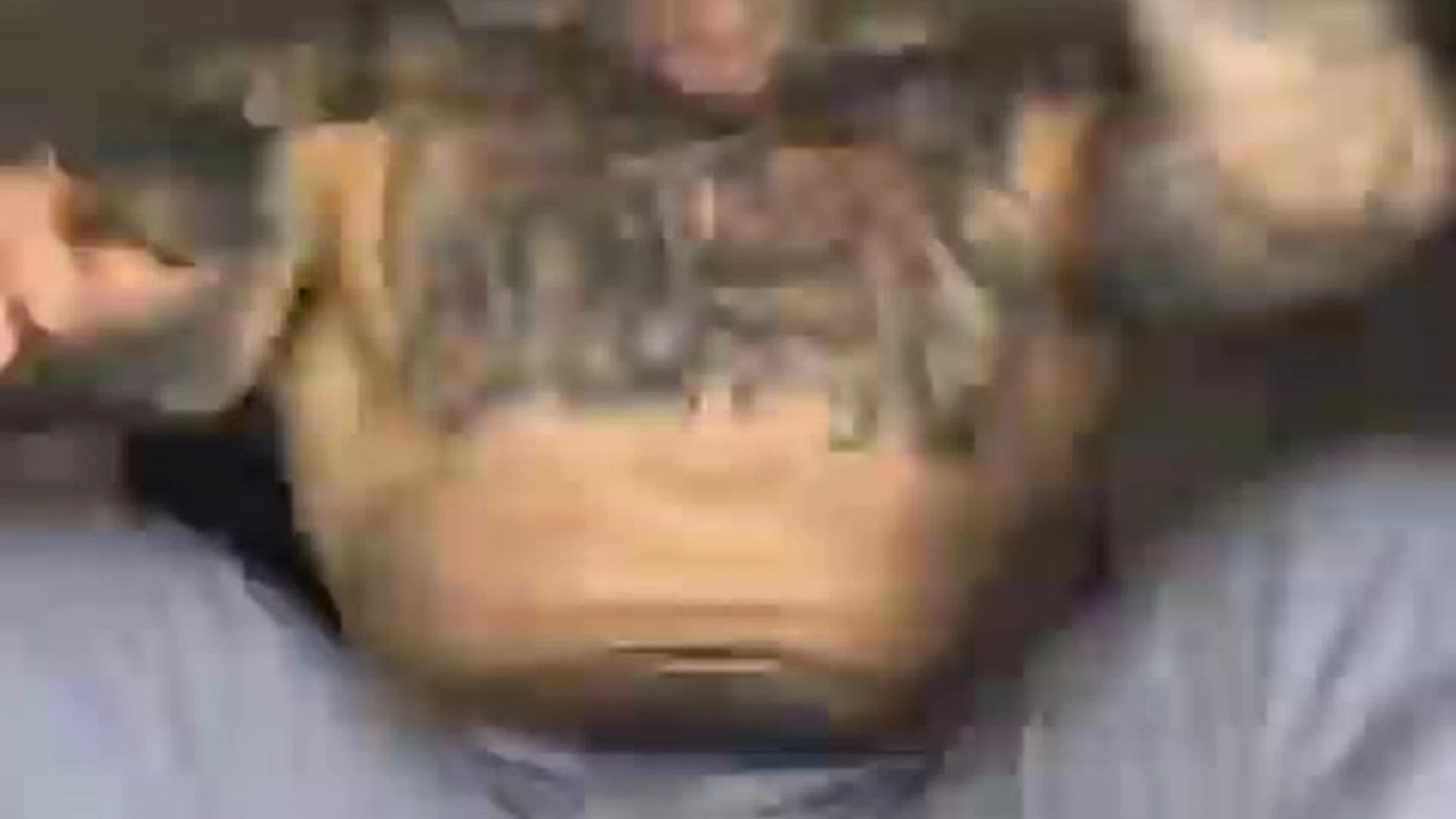 Benevolent roleplay Jakipz  huge pecs