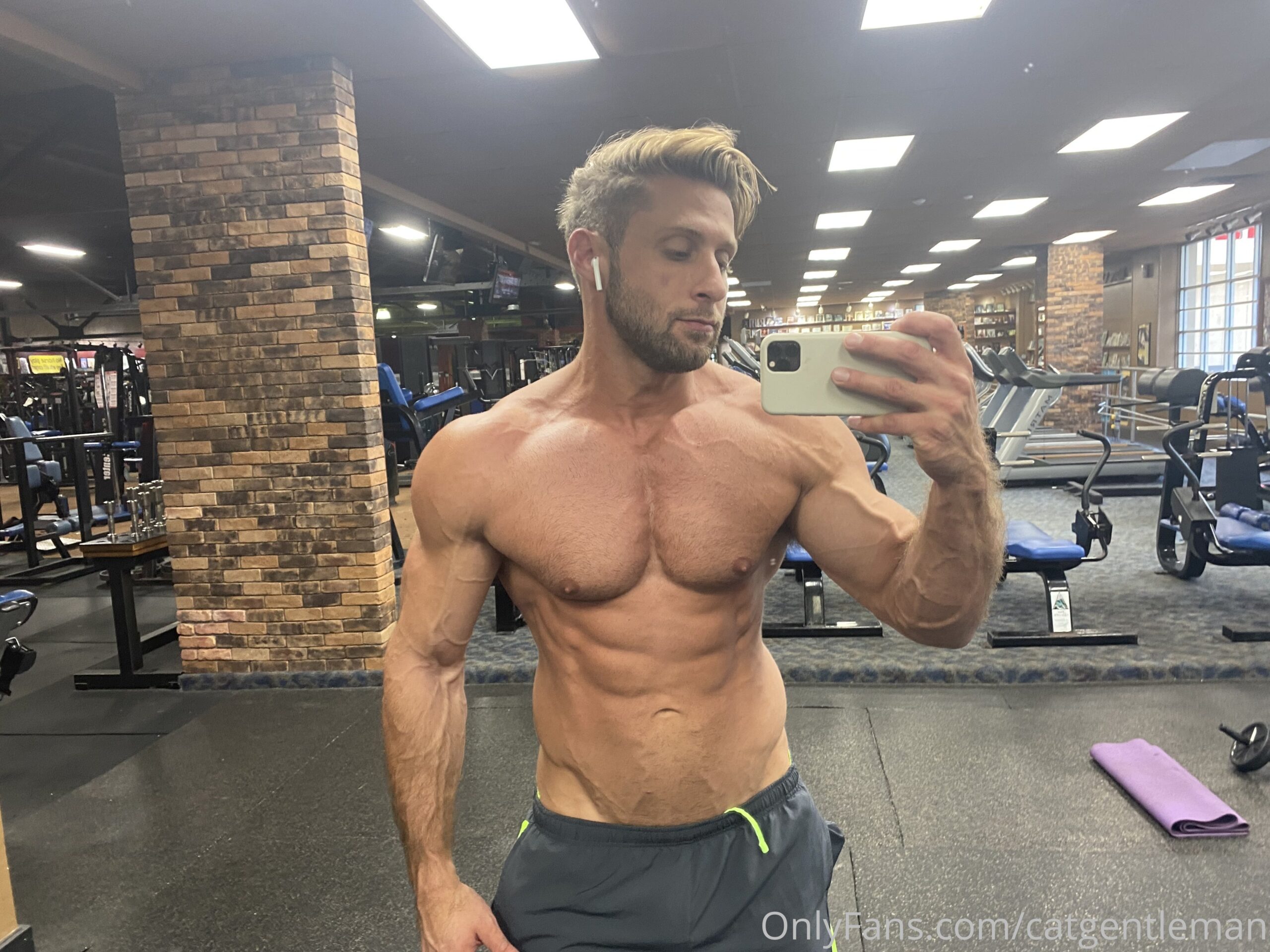 bang catgentleman Dom King pecs