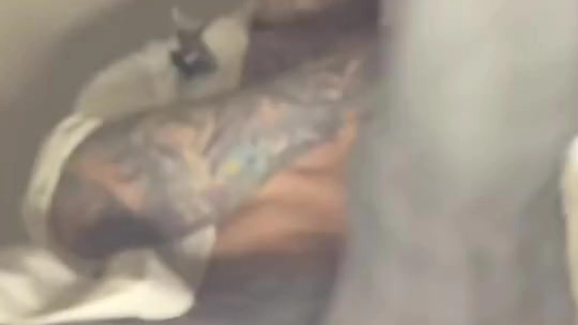 sexy bitch massive cock Jake Andrich Naked