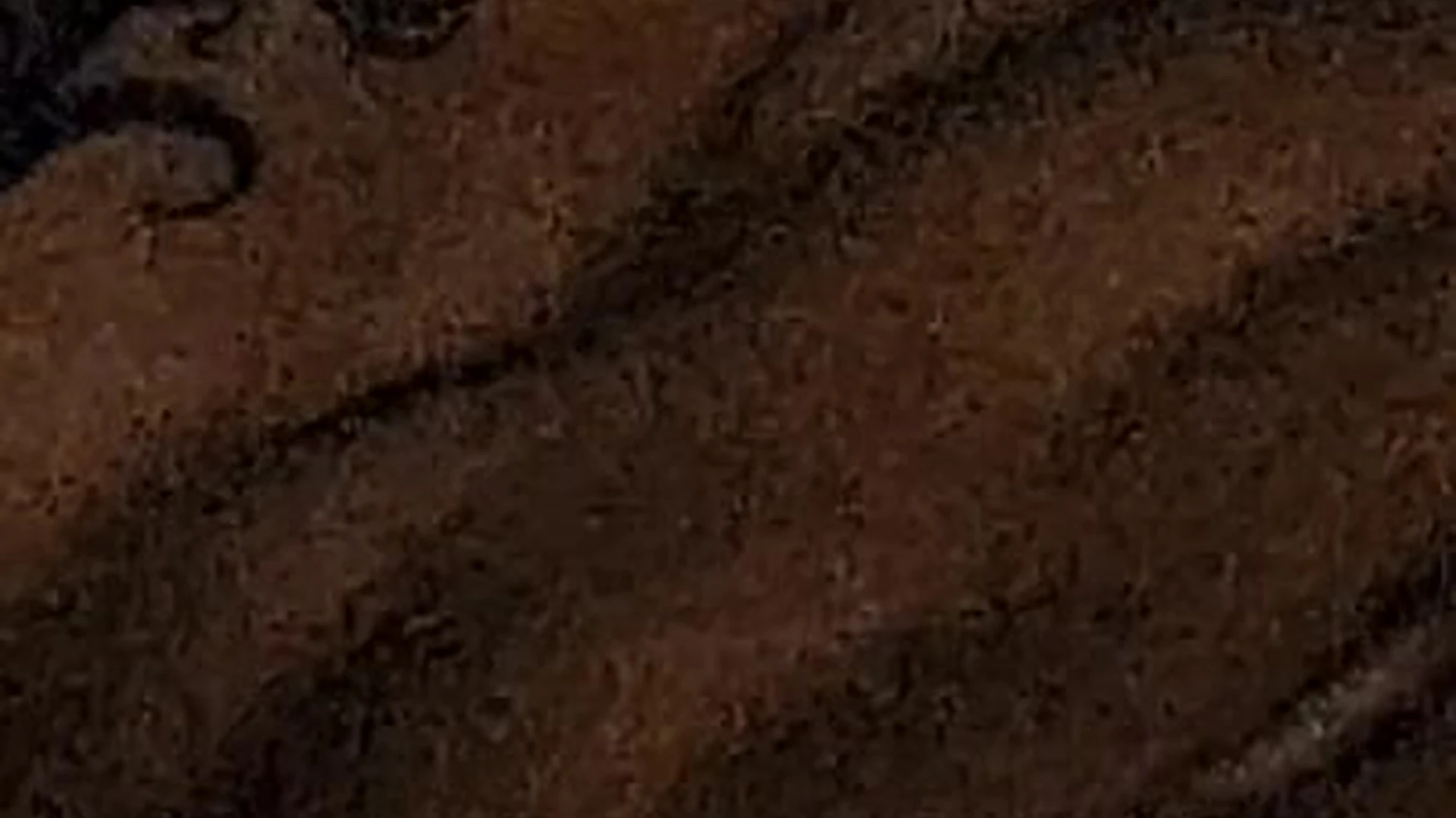 sexy slut tiktoker Jakipz leaked Full Clip