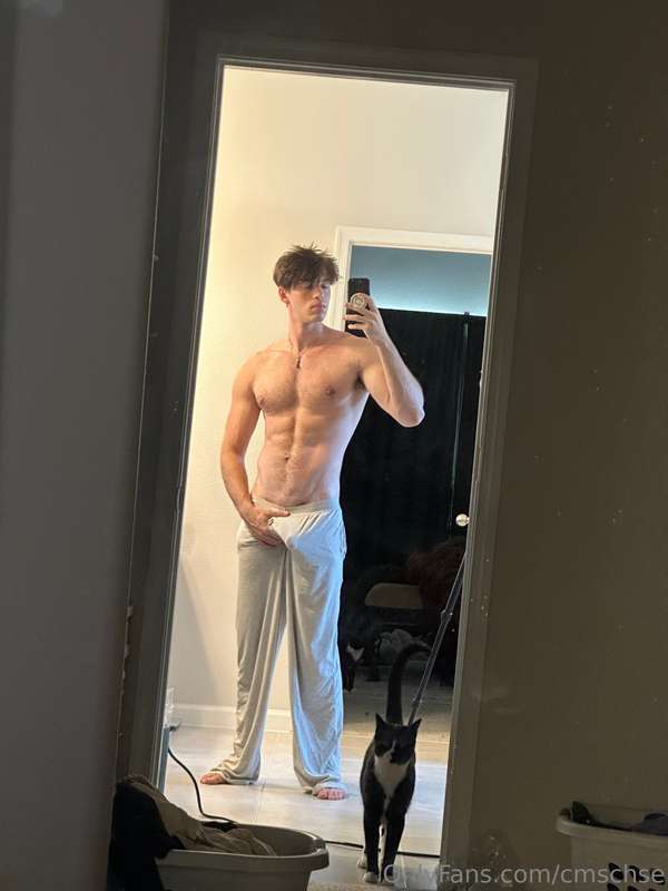 tiktok star cmschse ass