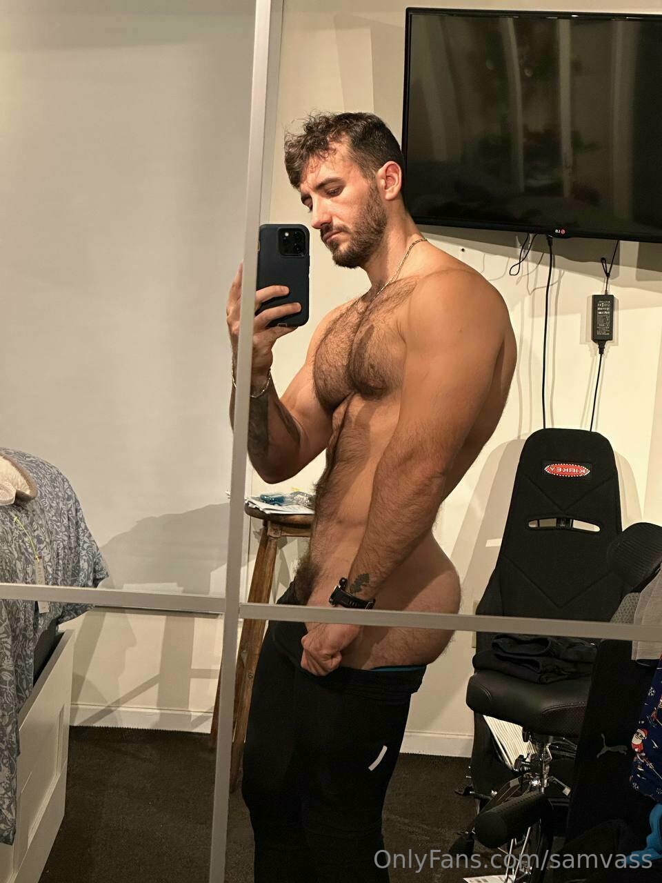 hairy Samvass of