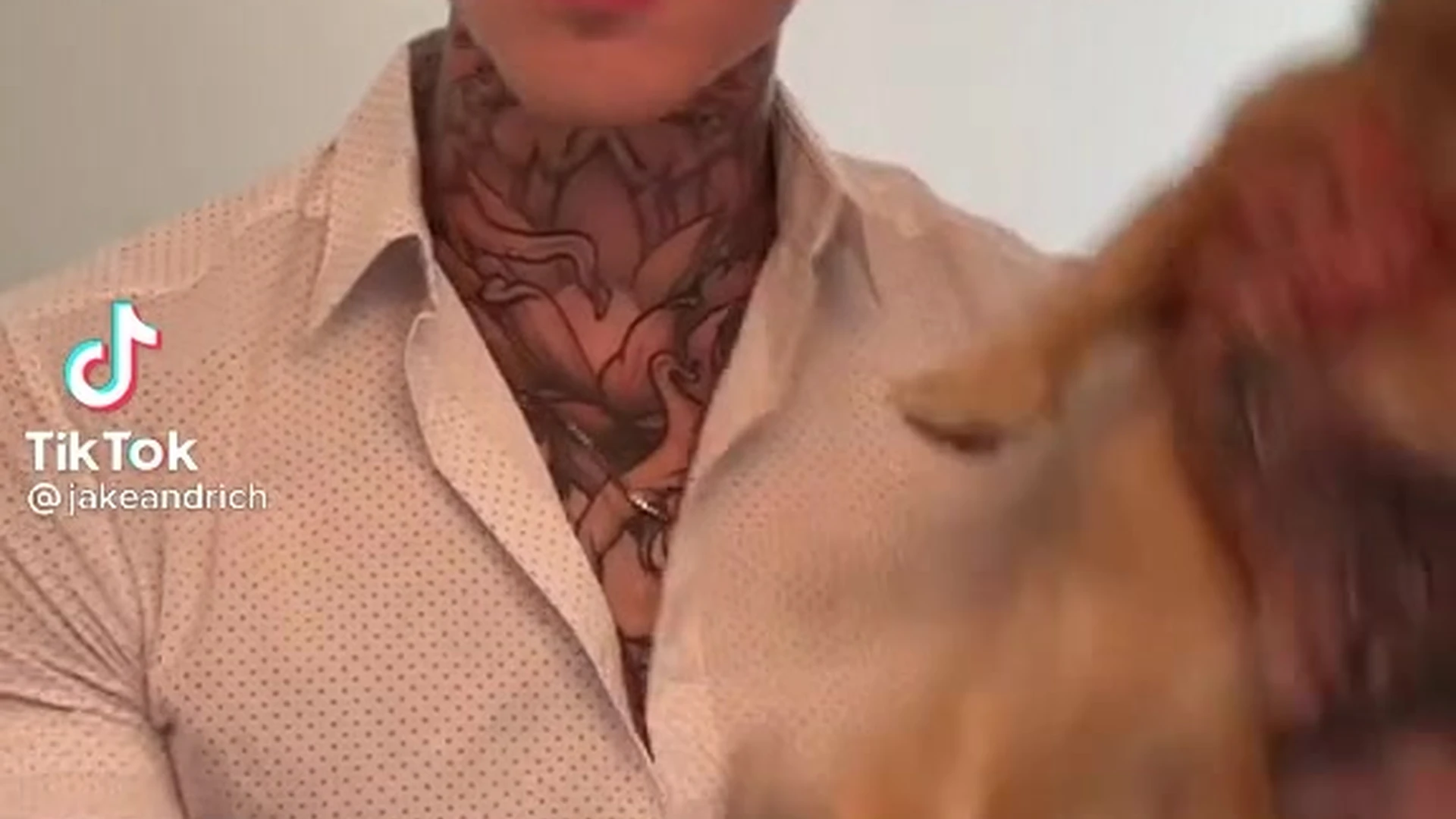 sexy slut verbal Jakipz leak xxx Exposed