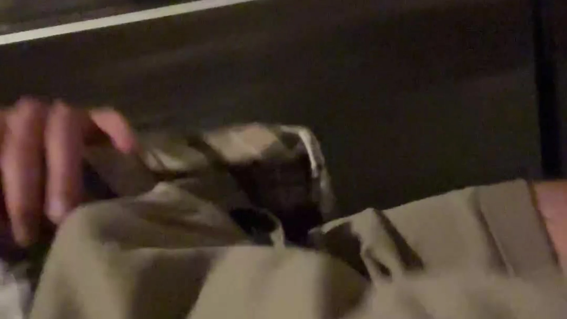 Confident  ChaseStobbe cmschse fucked video full Sensational