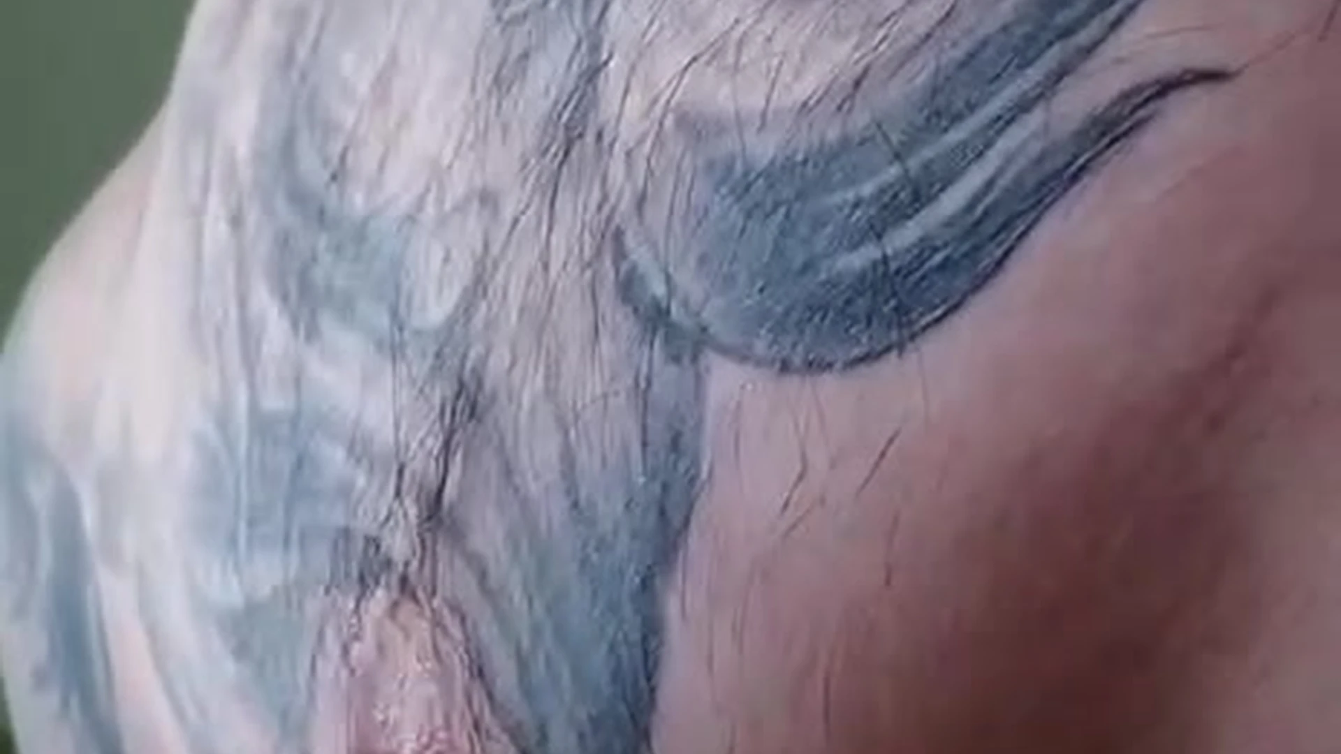 Dazzling  tiktok star Jake Andrich nude porn leak Sensational