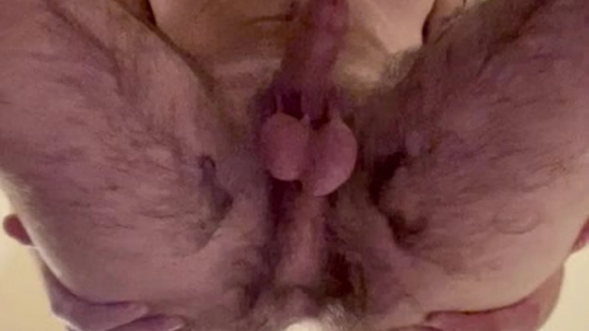 gorgeous stud Garett Nolan onlyfans naked Sensational