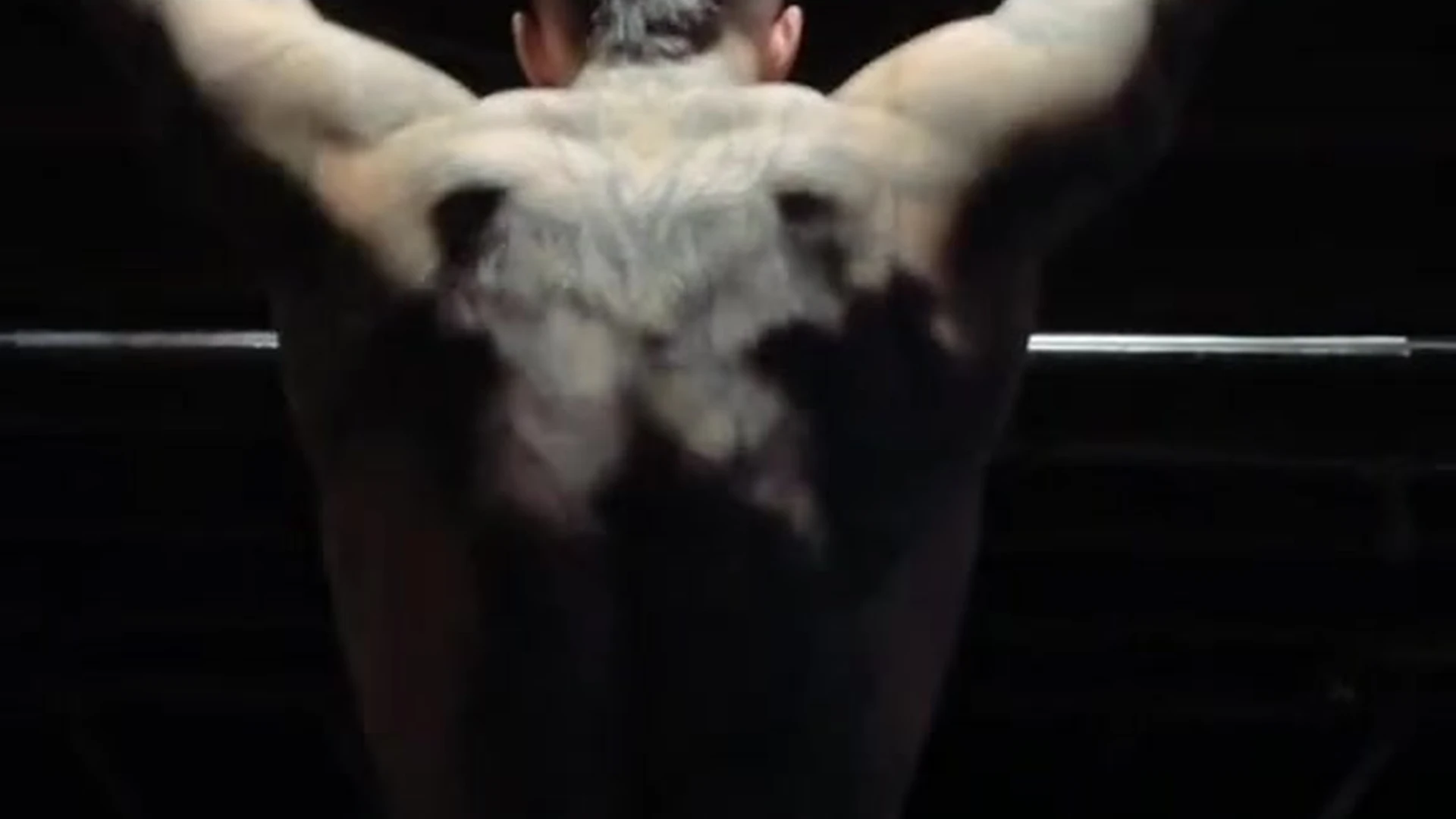 Sensational Enigmatic  verbal Jakipz nude pic