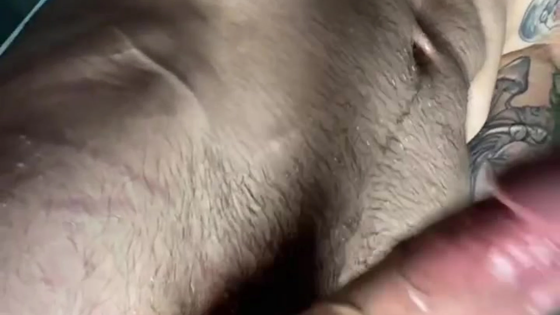 Affectionate verbal Jakipz nude porn leak Full Video Leaked