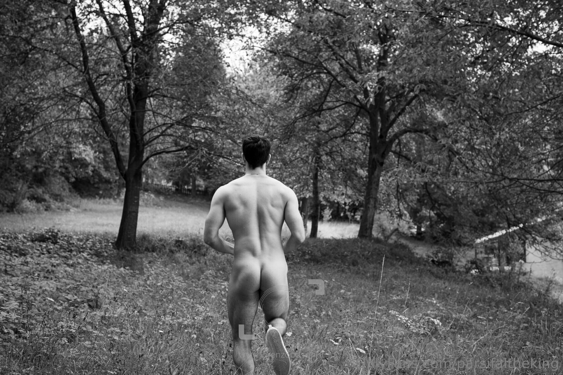 Exposed italian Parsifaltheking nude leaks