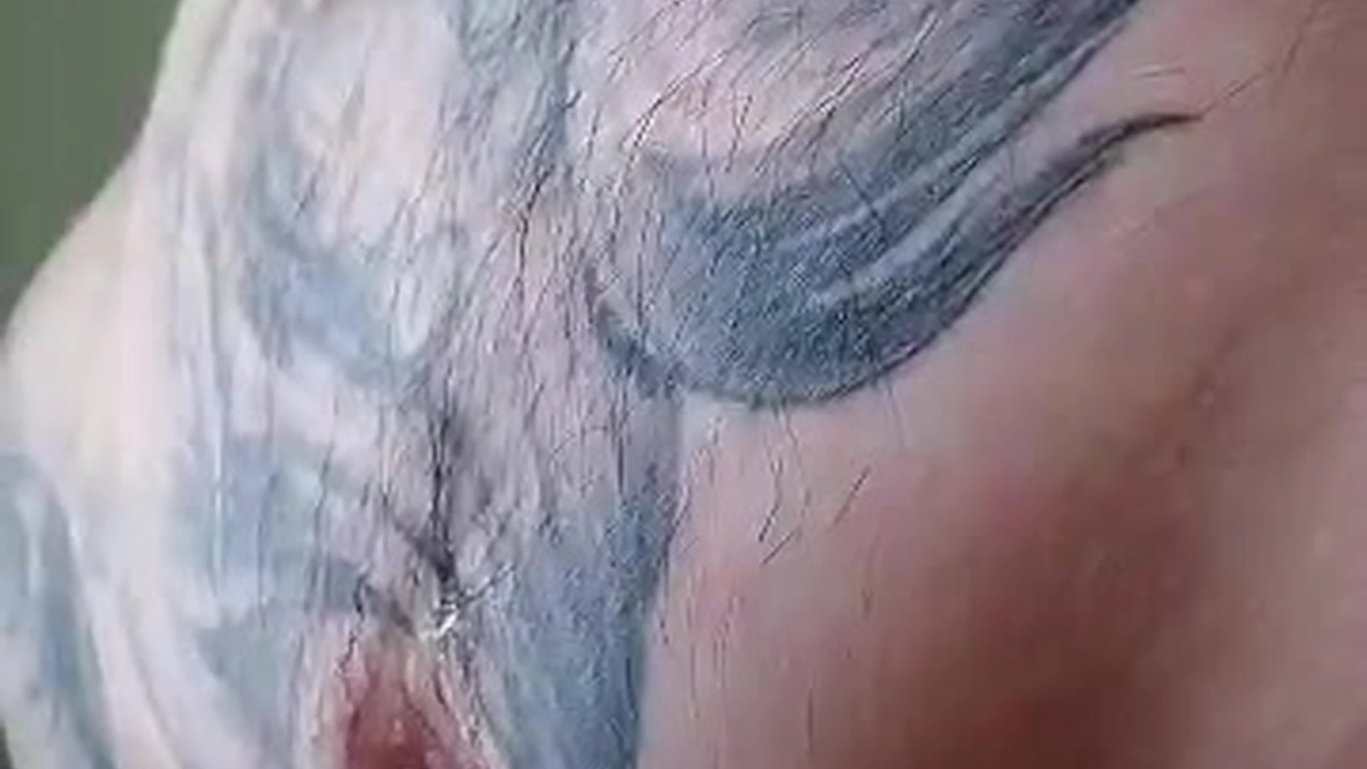 Sensational Magnetic  big cock Jake Andrich fapello