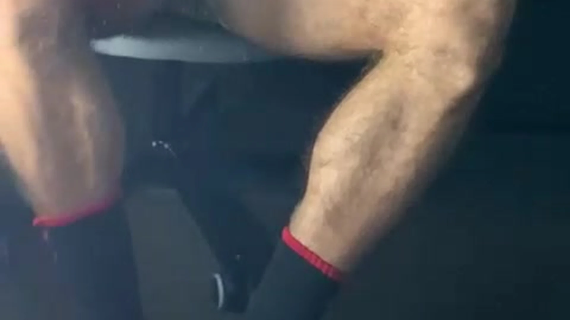 stud Samvass   Exposed
