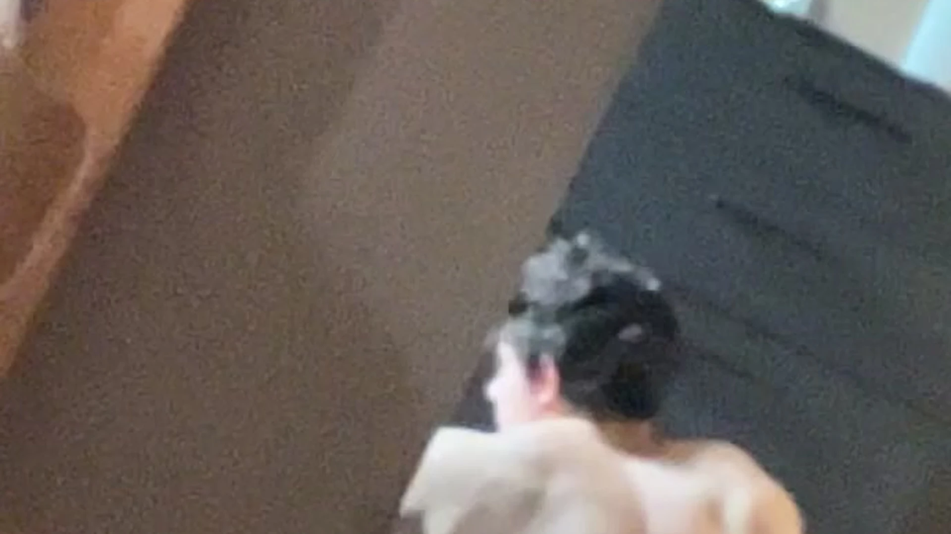 sexy ANAL PLAY cjclarkofficial nude leaks onlyfans VIDFULL Epic