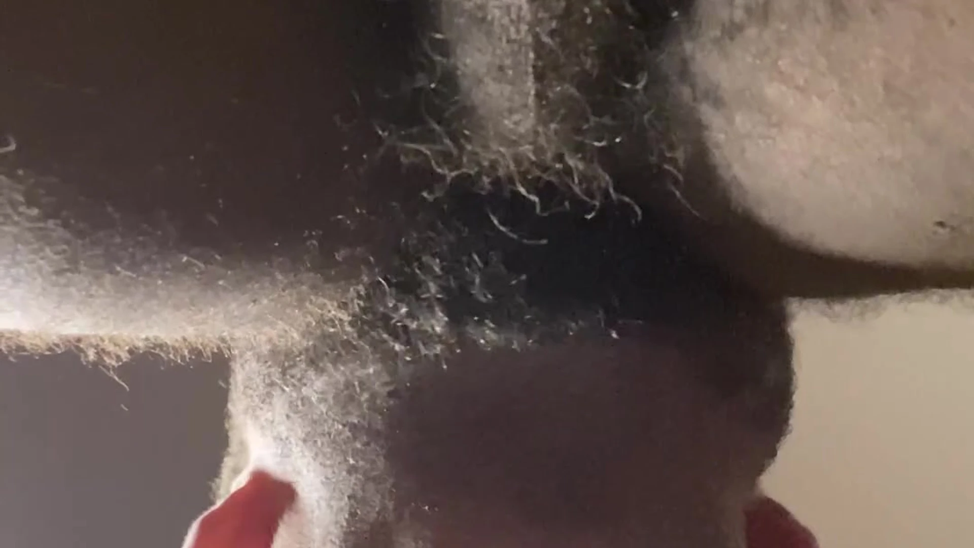 bubble butt BBC Bull Vegas Venom onlyfans leaked Vid Exposed