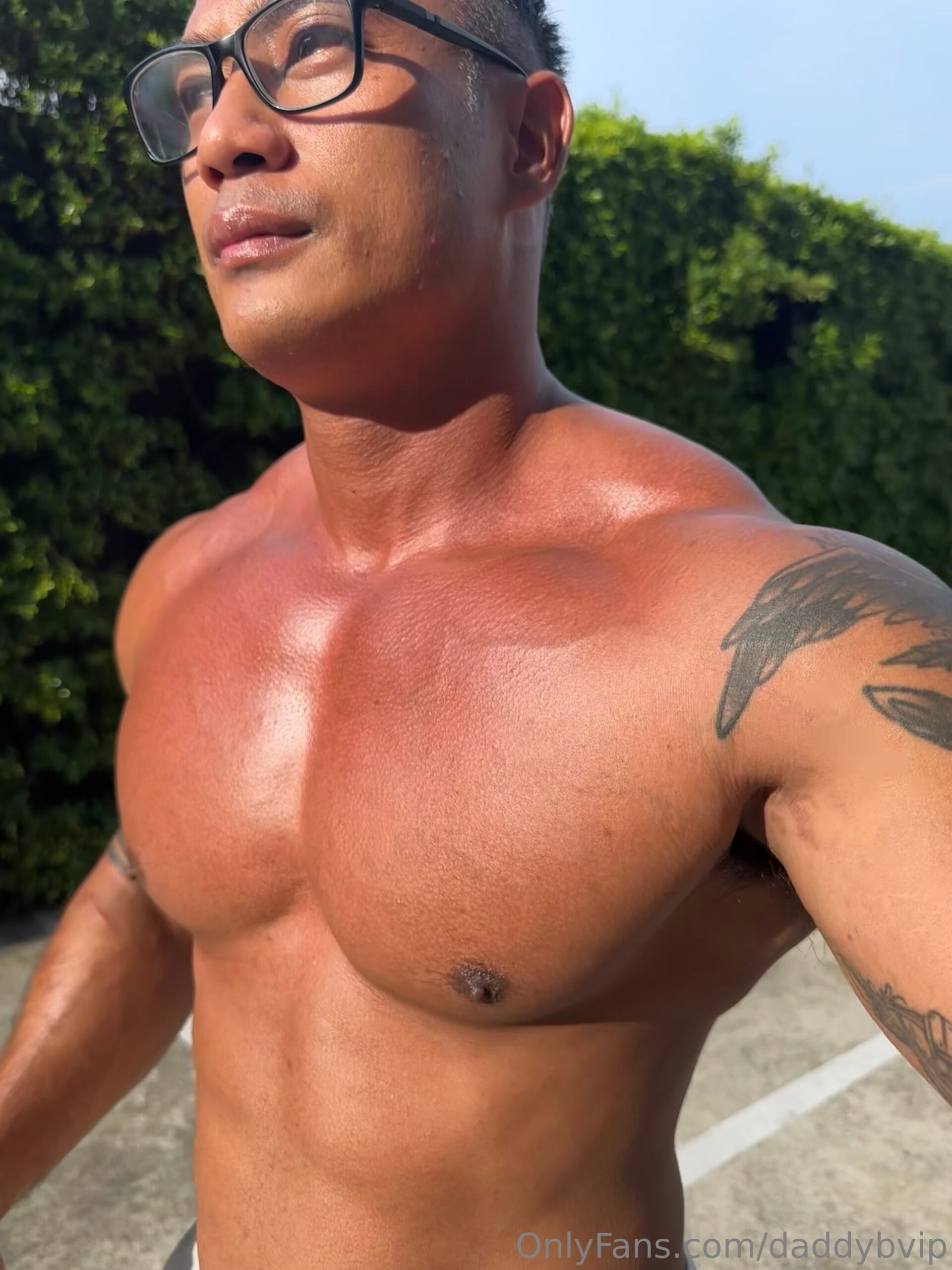 Epic beautiful beefy bulkstate cams