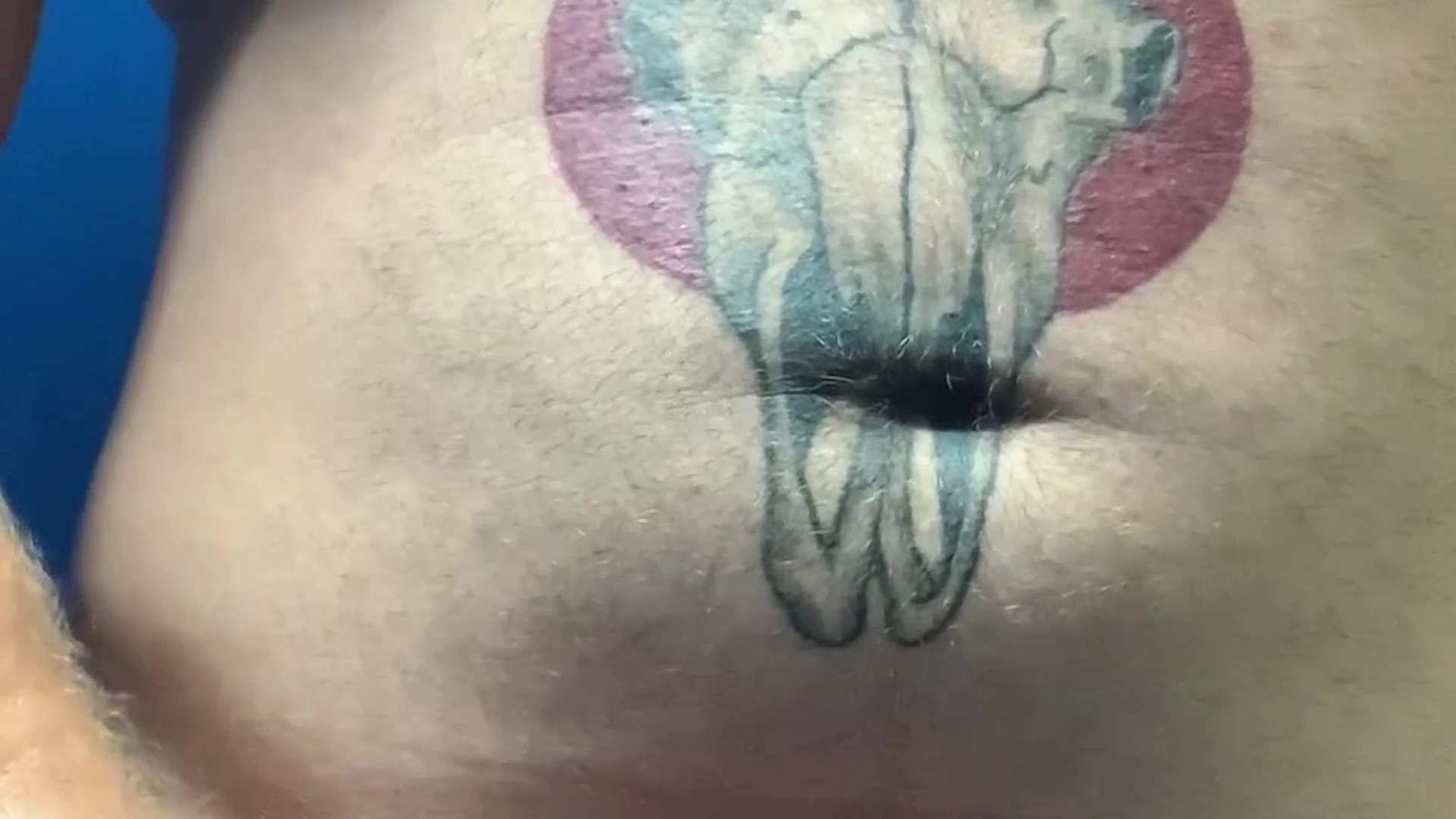 shy ASS PLAY Alex Lederman leaked pic Full leaked video Exposed