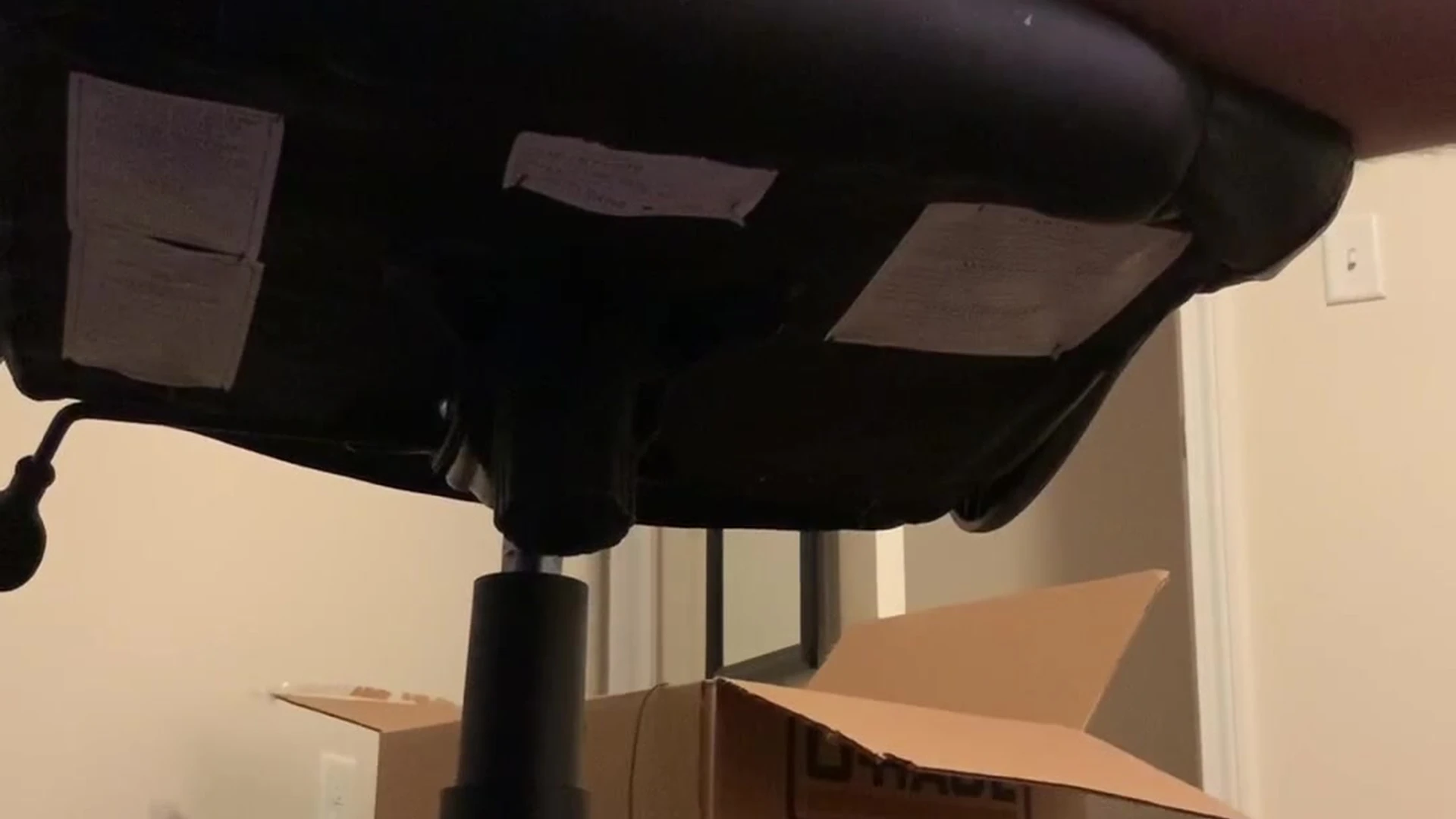 Benevolent DILDO PLAY Alex Lederman onlyfans leaked