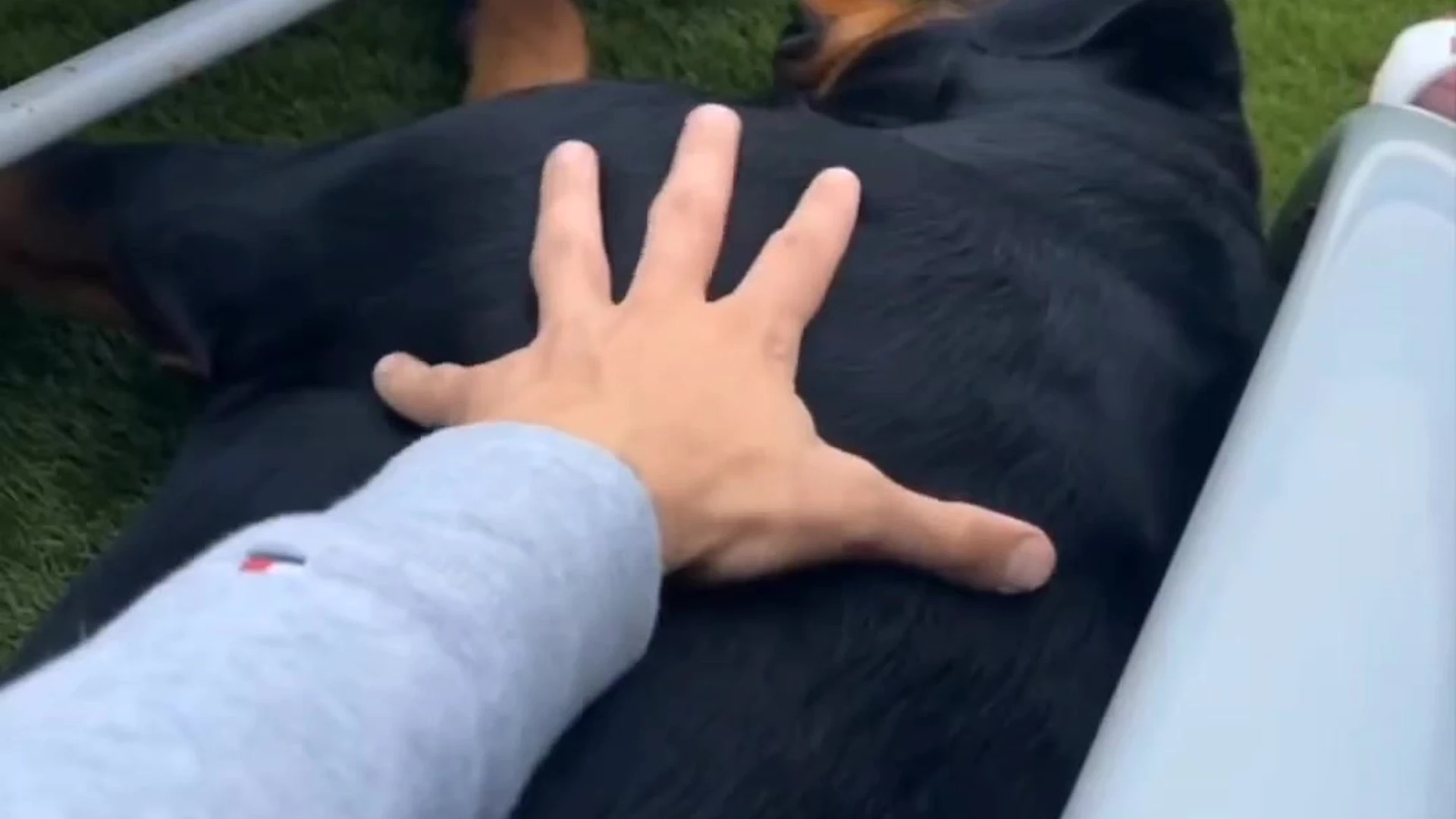 український гей max_barz leaked Epic