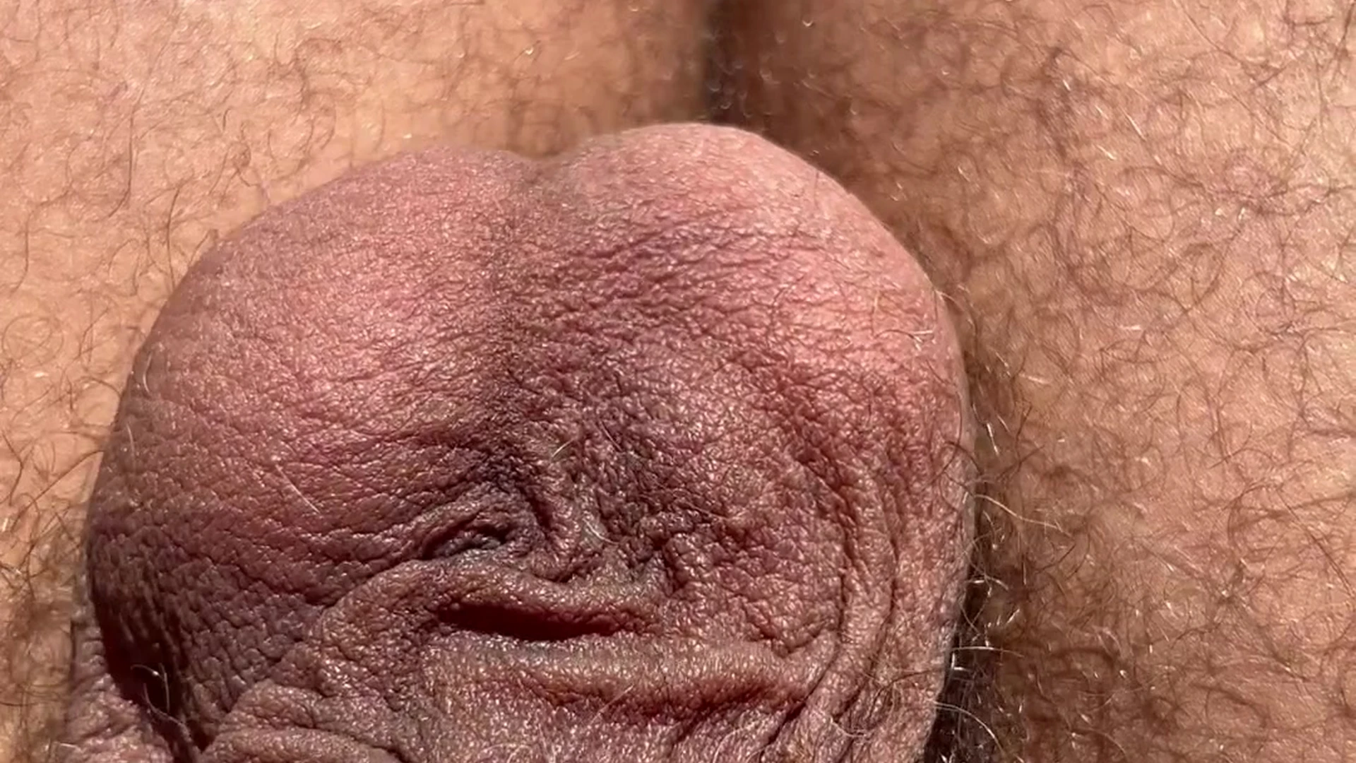 Flashman Wade dallaswade   My Ballsac up close when Im sunbathing them