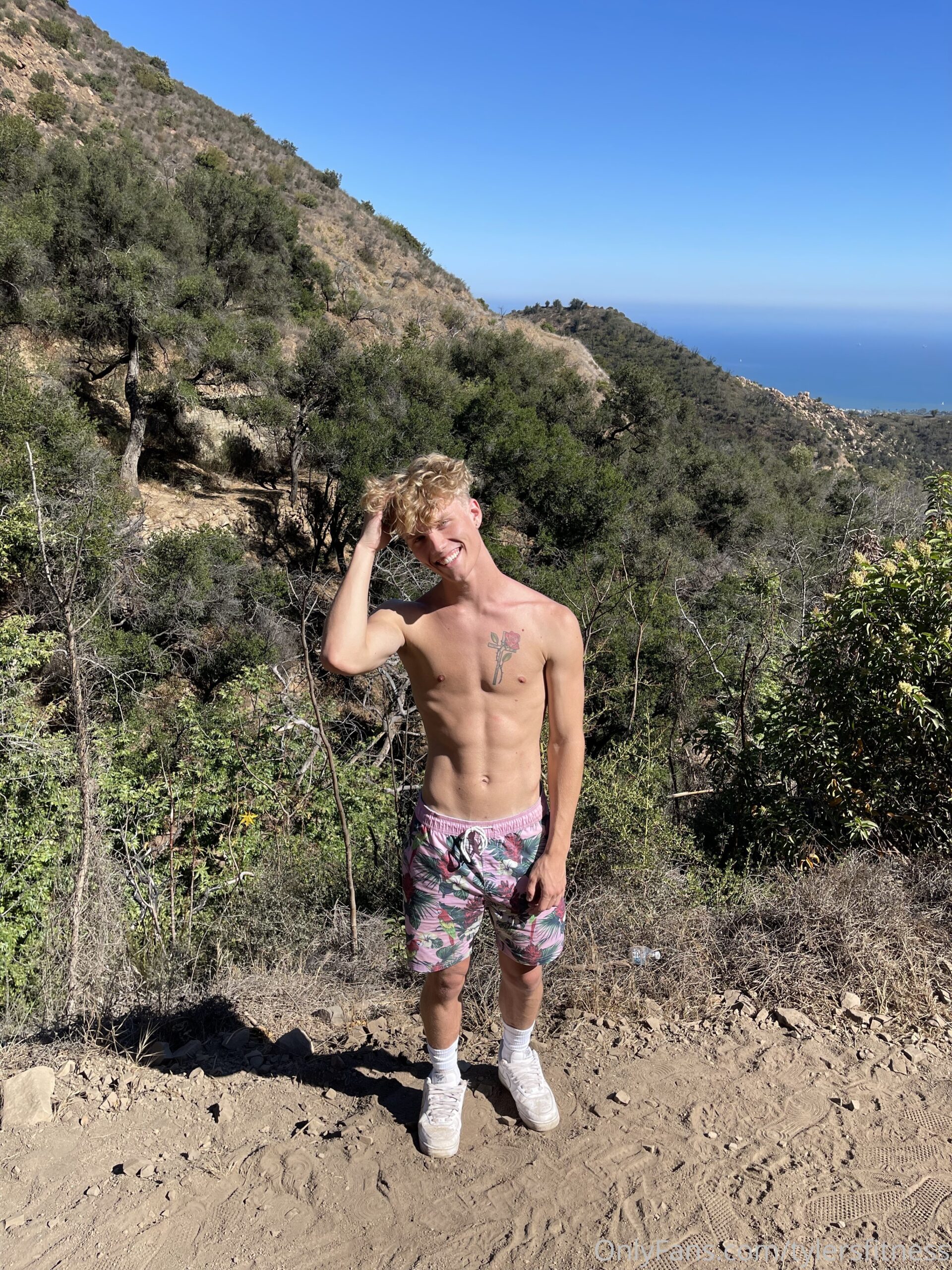Sensational nasty troytempts big pecs