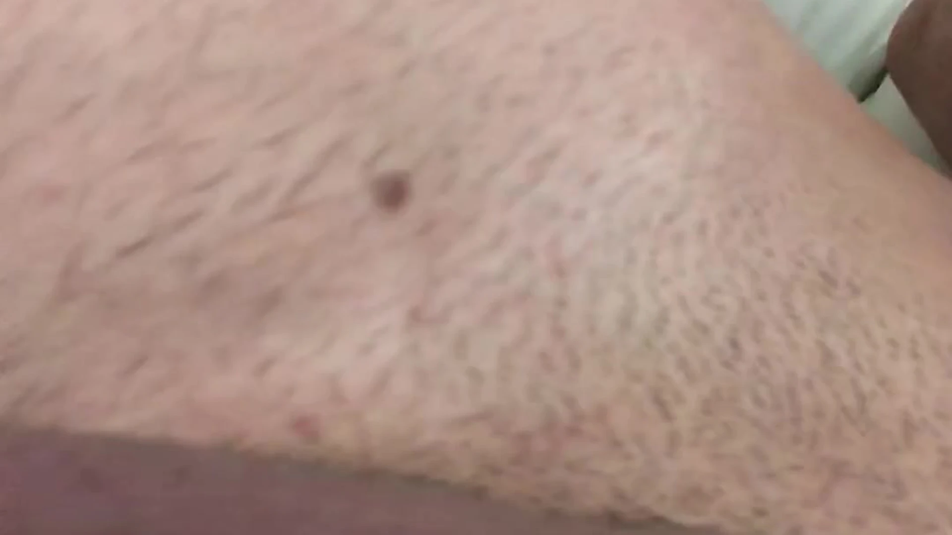 Czech Jakub Stefano Fansly leaked