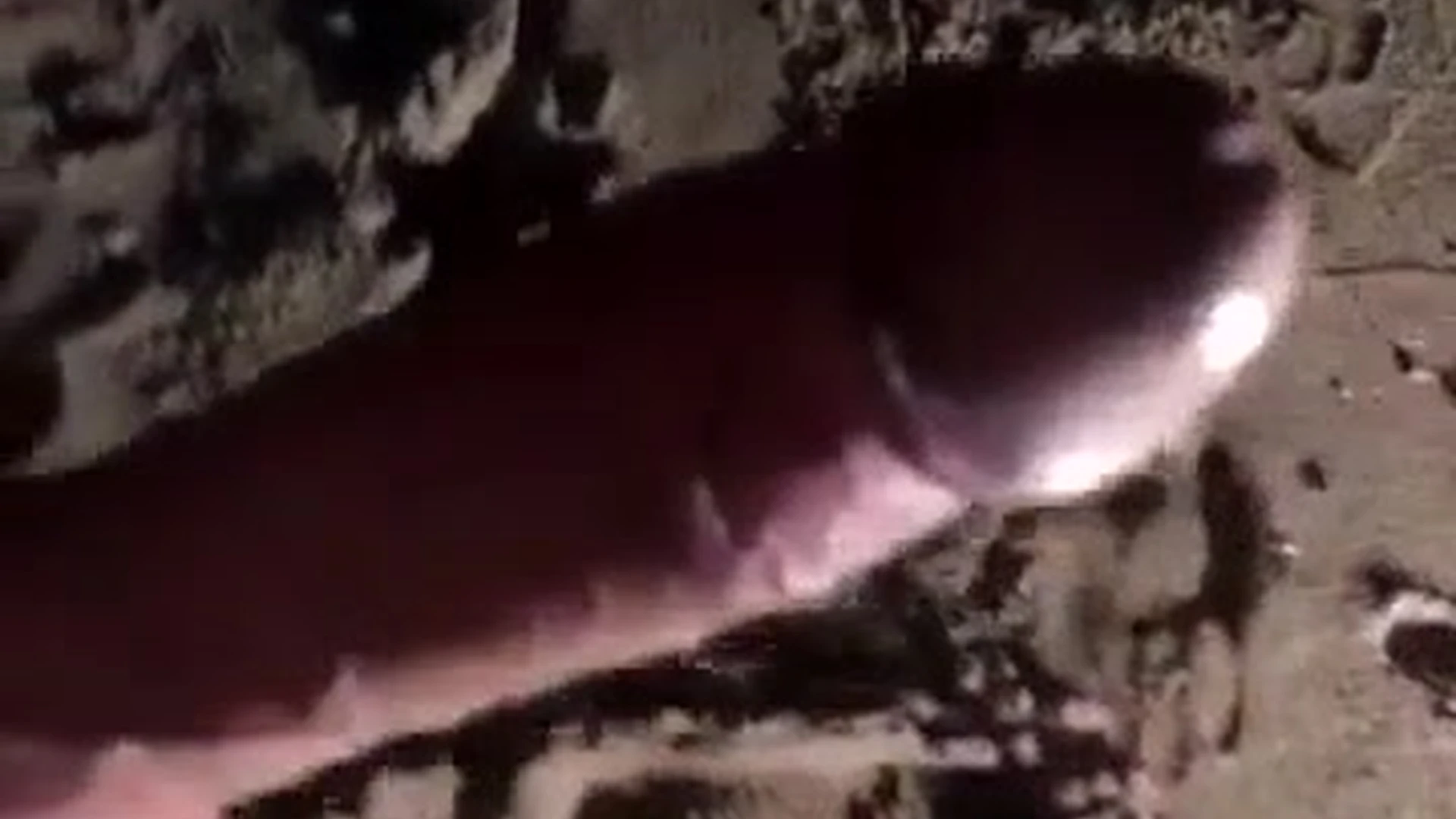 Johnny Sins – showing off (Beach)