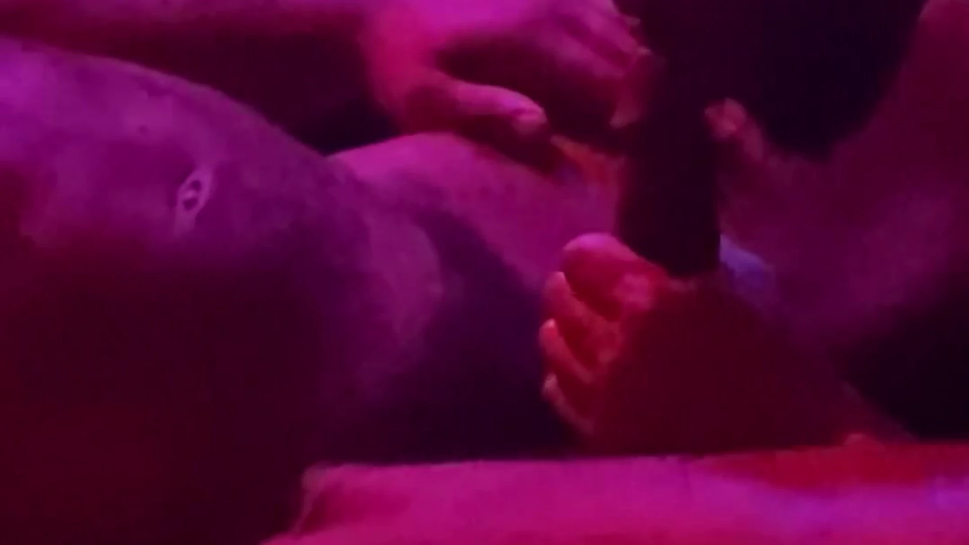 Exposed slut bull VenomMuscle