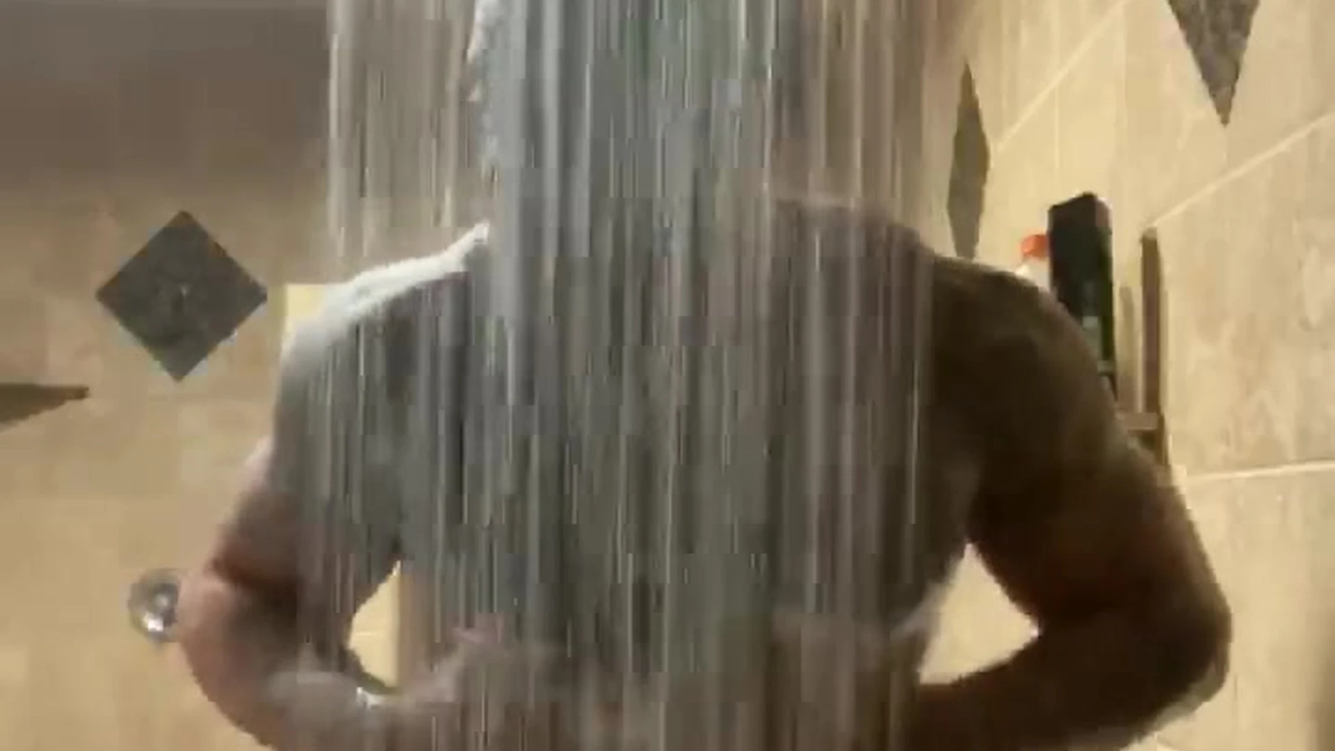 influencer muscle bull Vegas Venom Fansly leaks Vid Epic