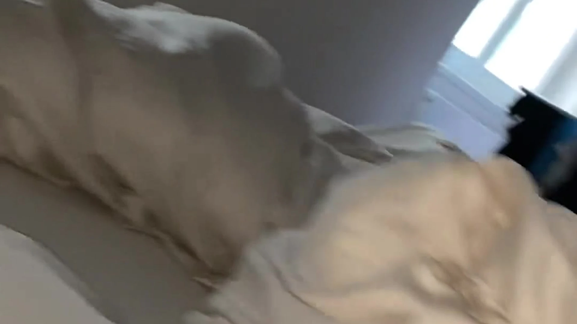 Sincere Czech Jakub Bandoch sex leak FullVID