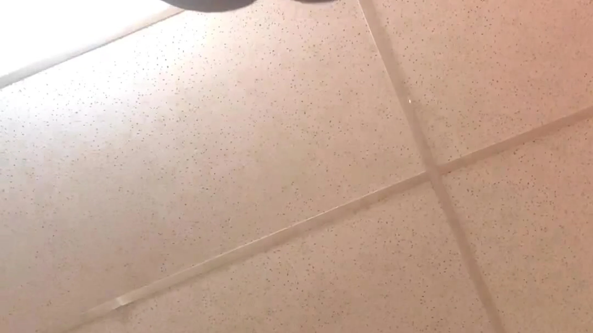 Babe swole Vegas Venom fuck Clip