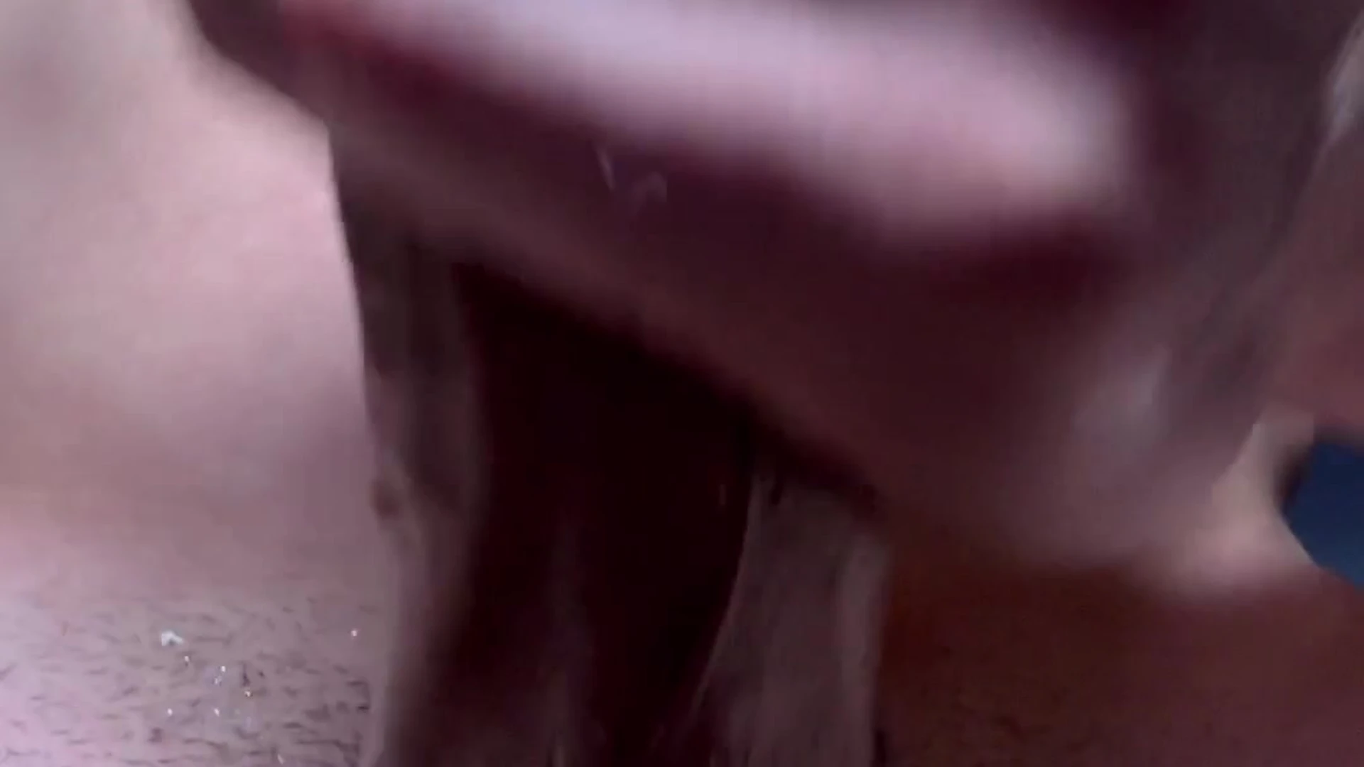 Epic Effervescent  Charismatic Gattouz0 of Full Movie
