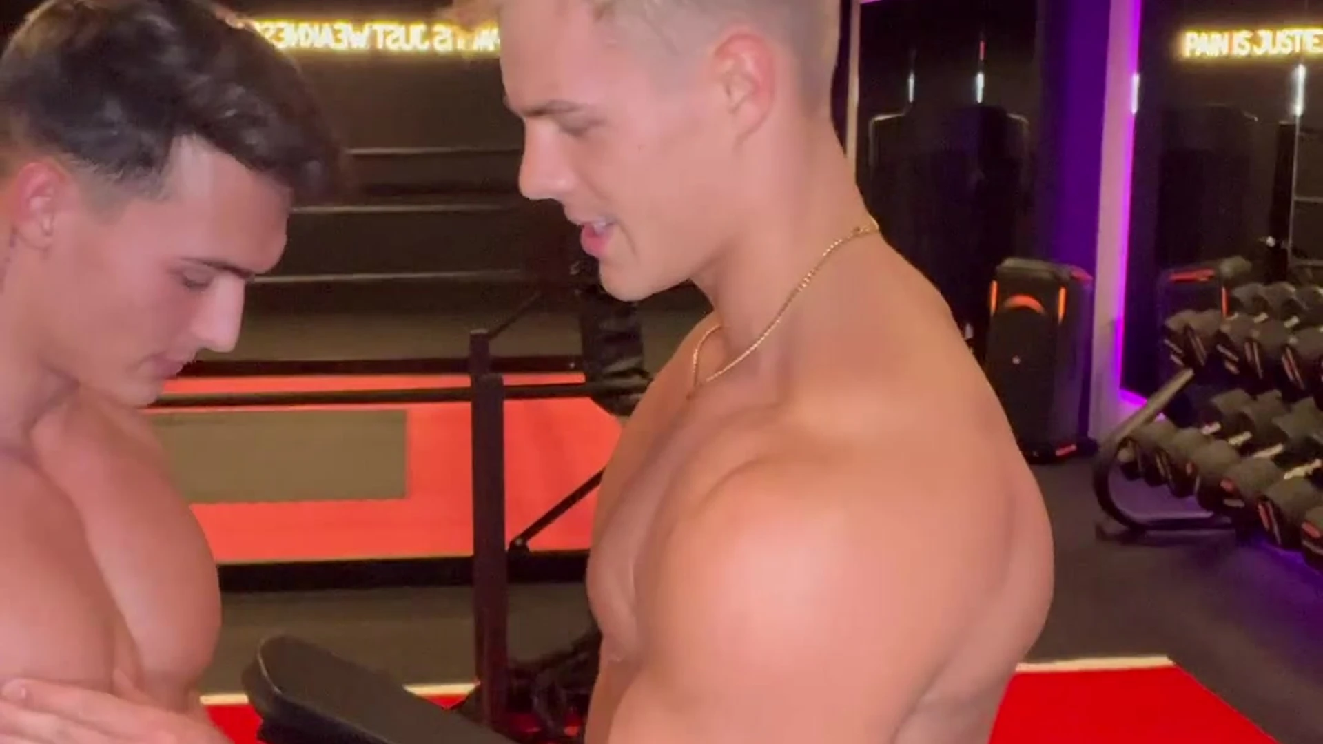 homoerotic DADDY levyvanwilgen Onlyfans Leak VIDFULL