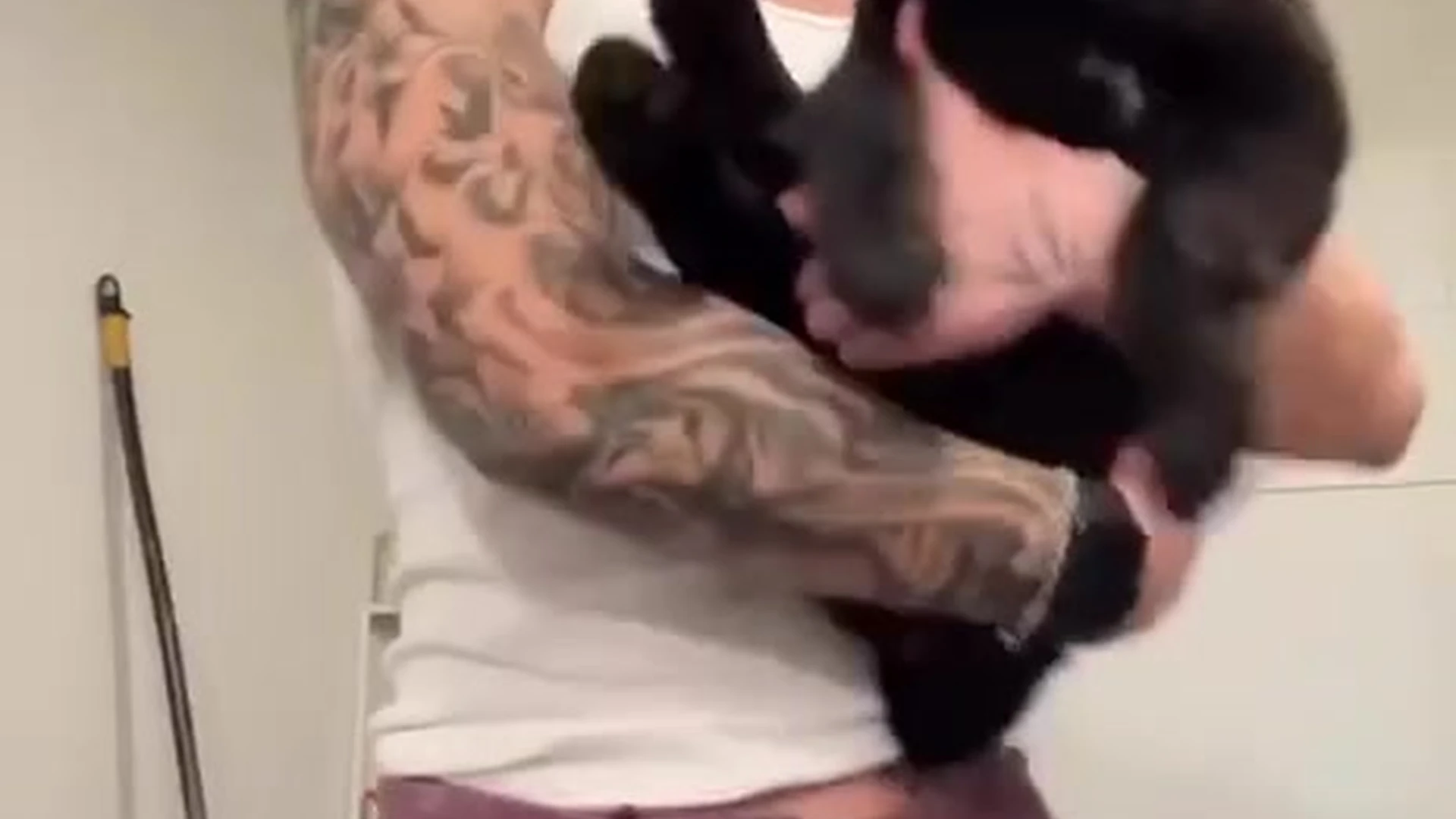 hot guy gooning tiktok star evanlamicella