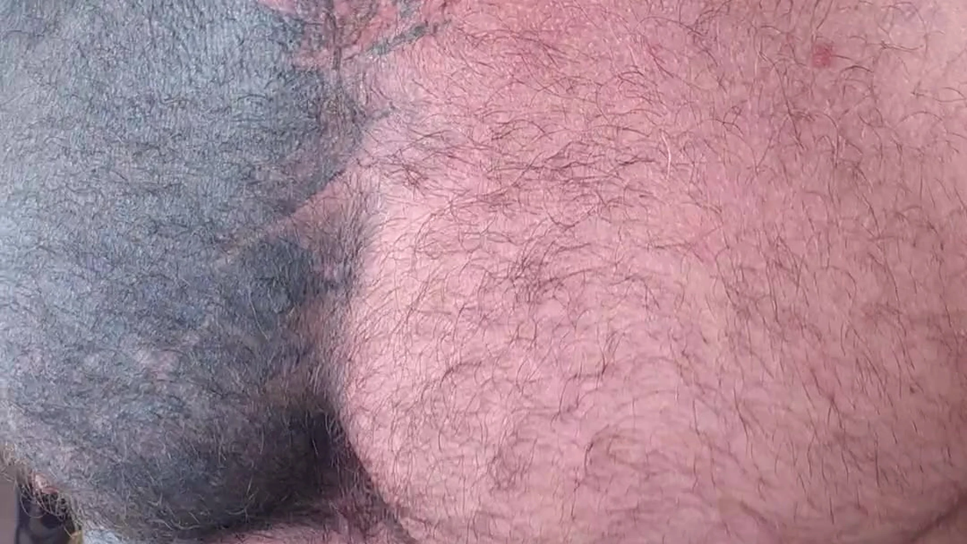 Inspiring  Chacal PAPIXLX ripped cams